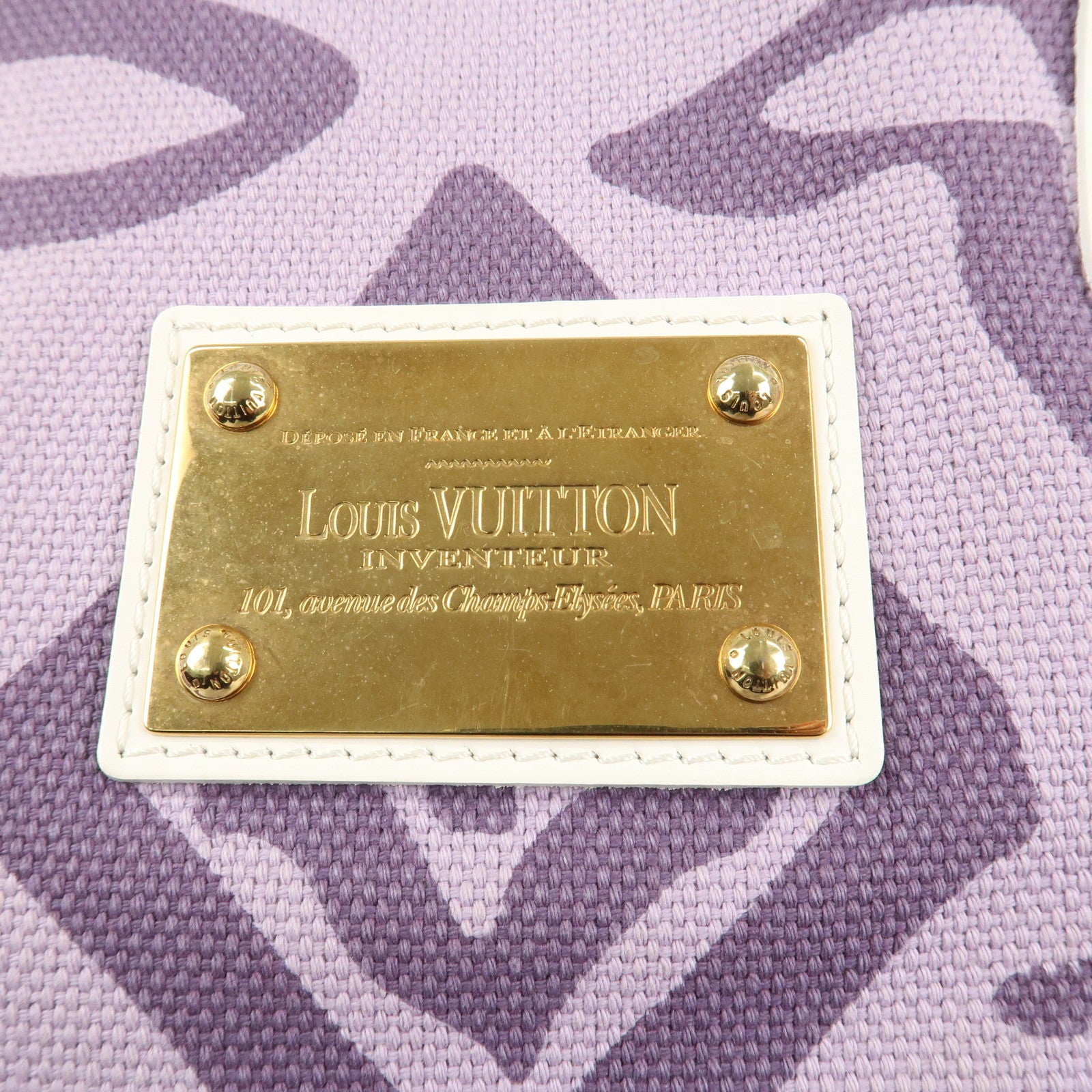 Louis Vuitton Cruise Line Canvas Tahitienne PM Tote Bag M95680 Used