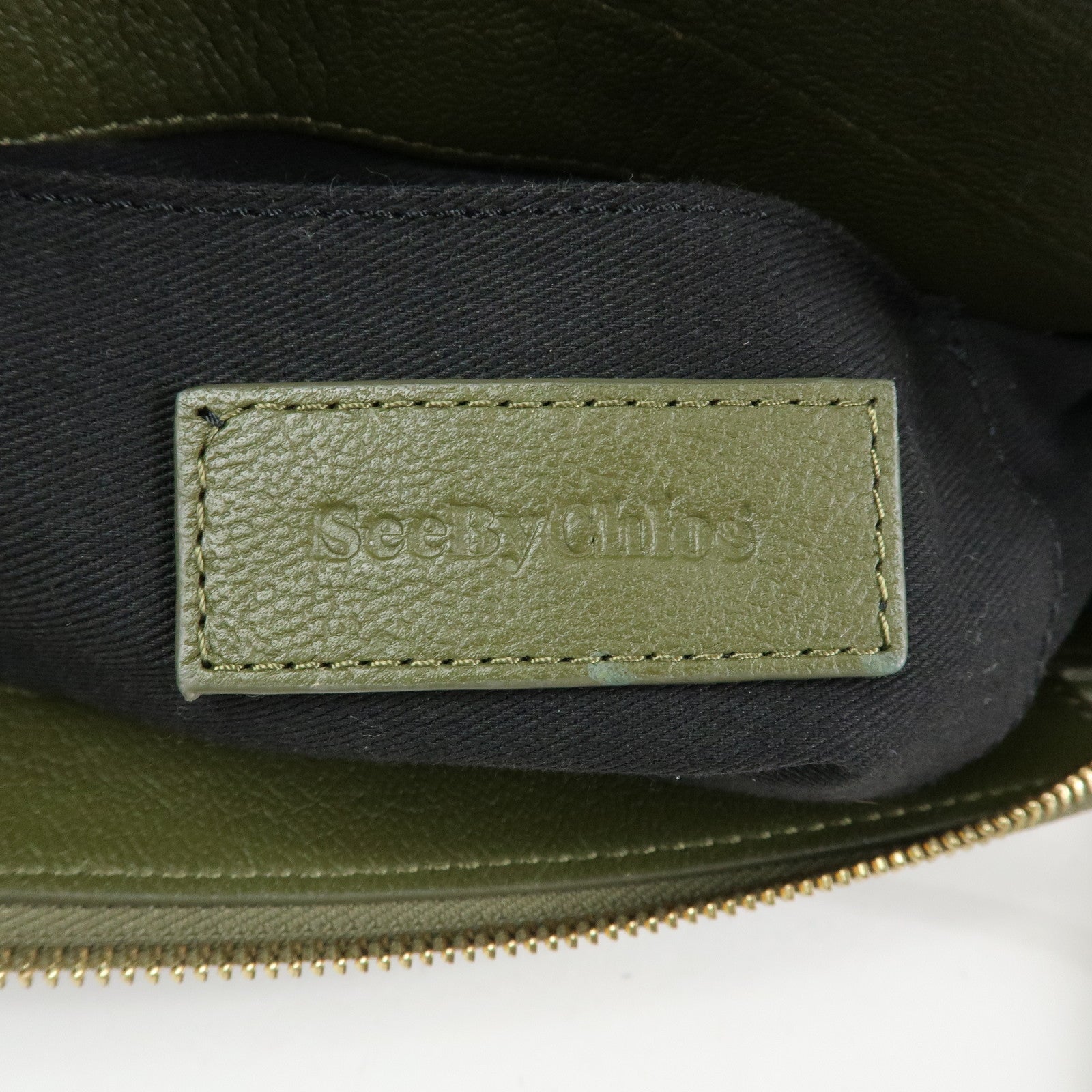 Chloe See by Chloe Phill Leather Shoulder Crossbody Bag Dark Green