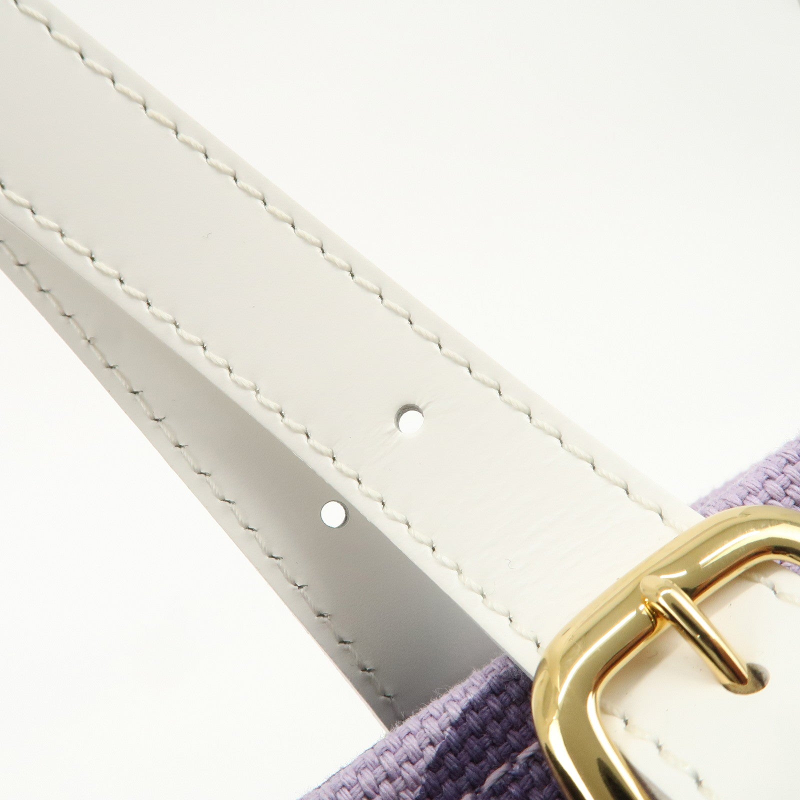 Louis Vuitton Cruise Line Canvas Tahitienne PM Tote Bag M95680