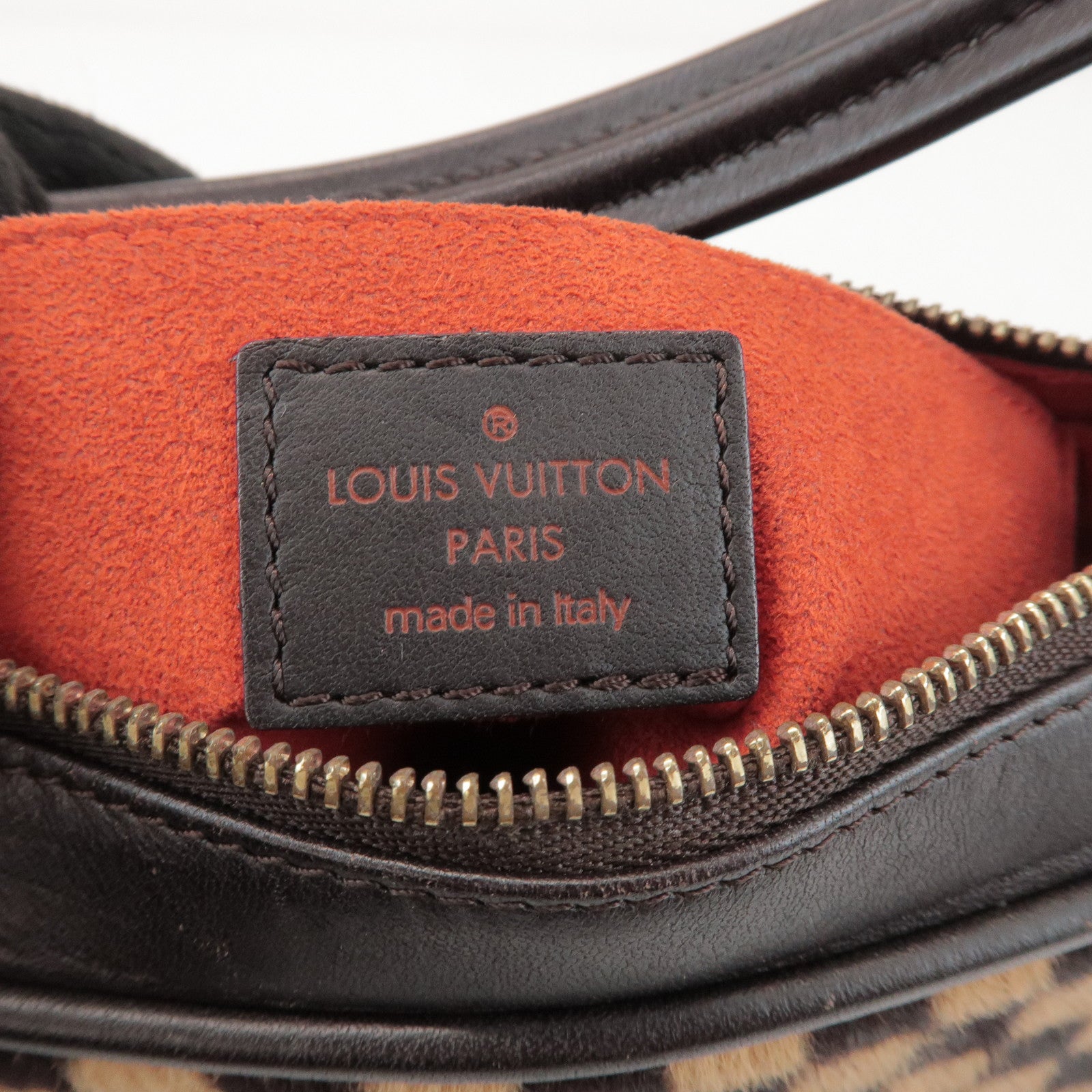 Louis Vuitton Damier Sauvage Tiger Hair Calf Hand Bag Brown M92132