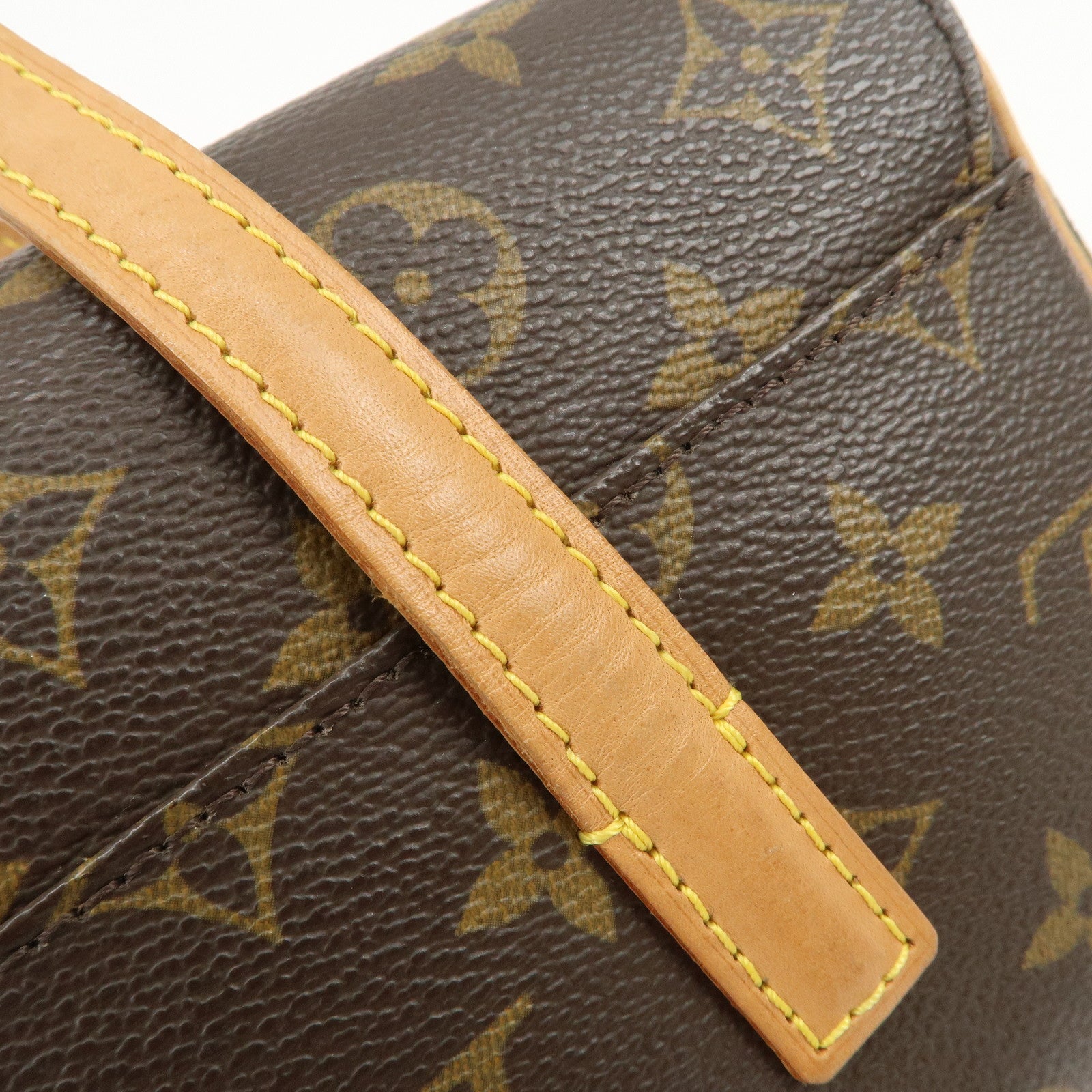 Louis Vuitton Monogram Sonatine Hand Bag Brown M51902