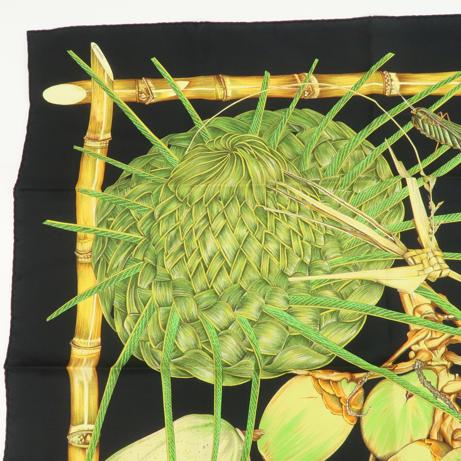 HERMES Carre 90 Silk 100% Nouvelle Coledonie Scarf Black Green