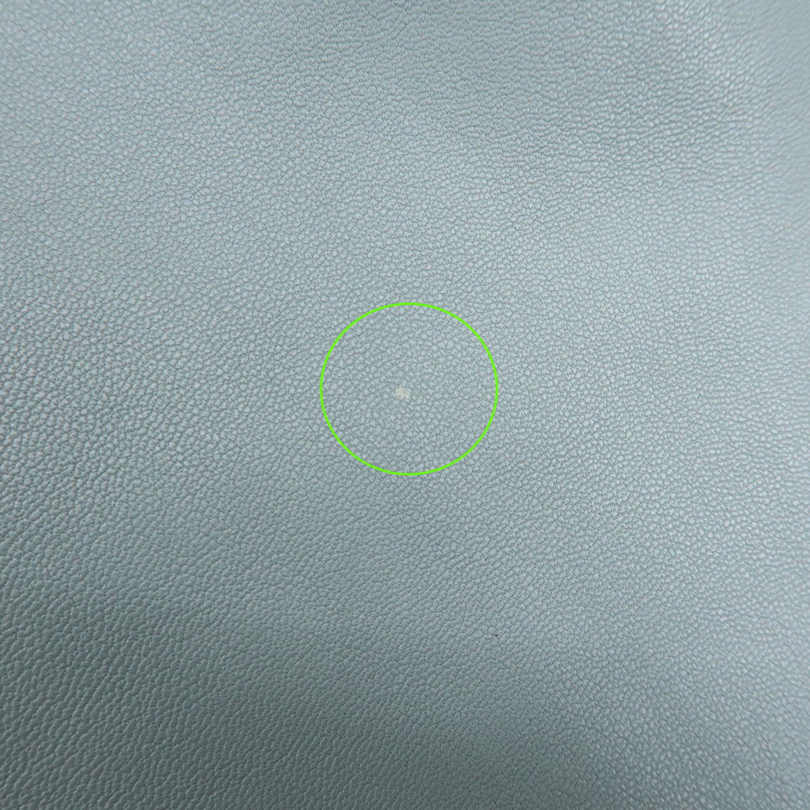 CELINE Horizontal Cabas Leather Tote Bag Shoulder Bag Light Blue