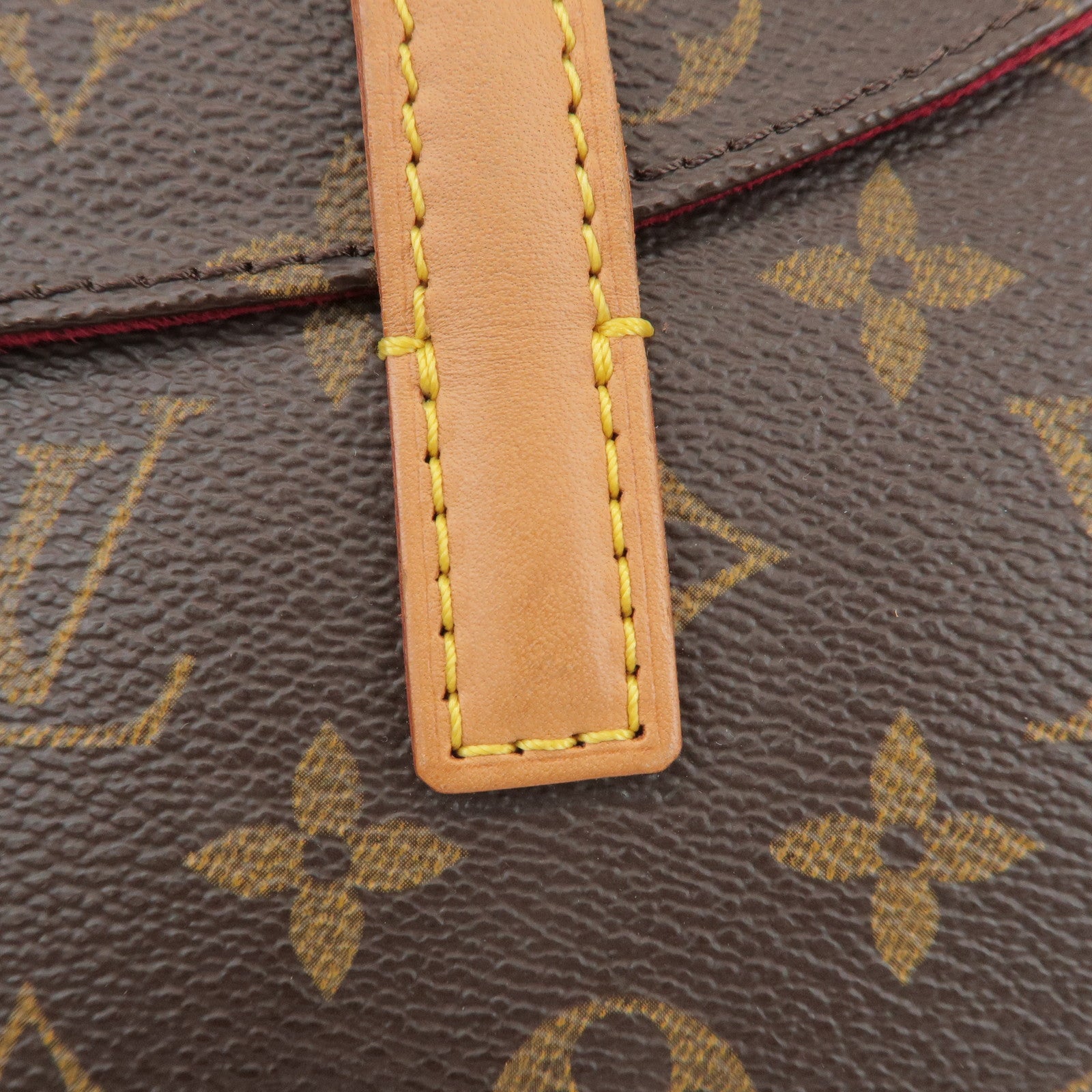 Louis Vuitton Monogram Sonatine Hand Bag Brown M51902