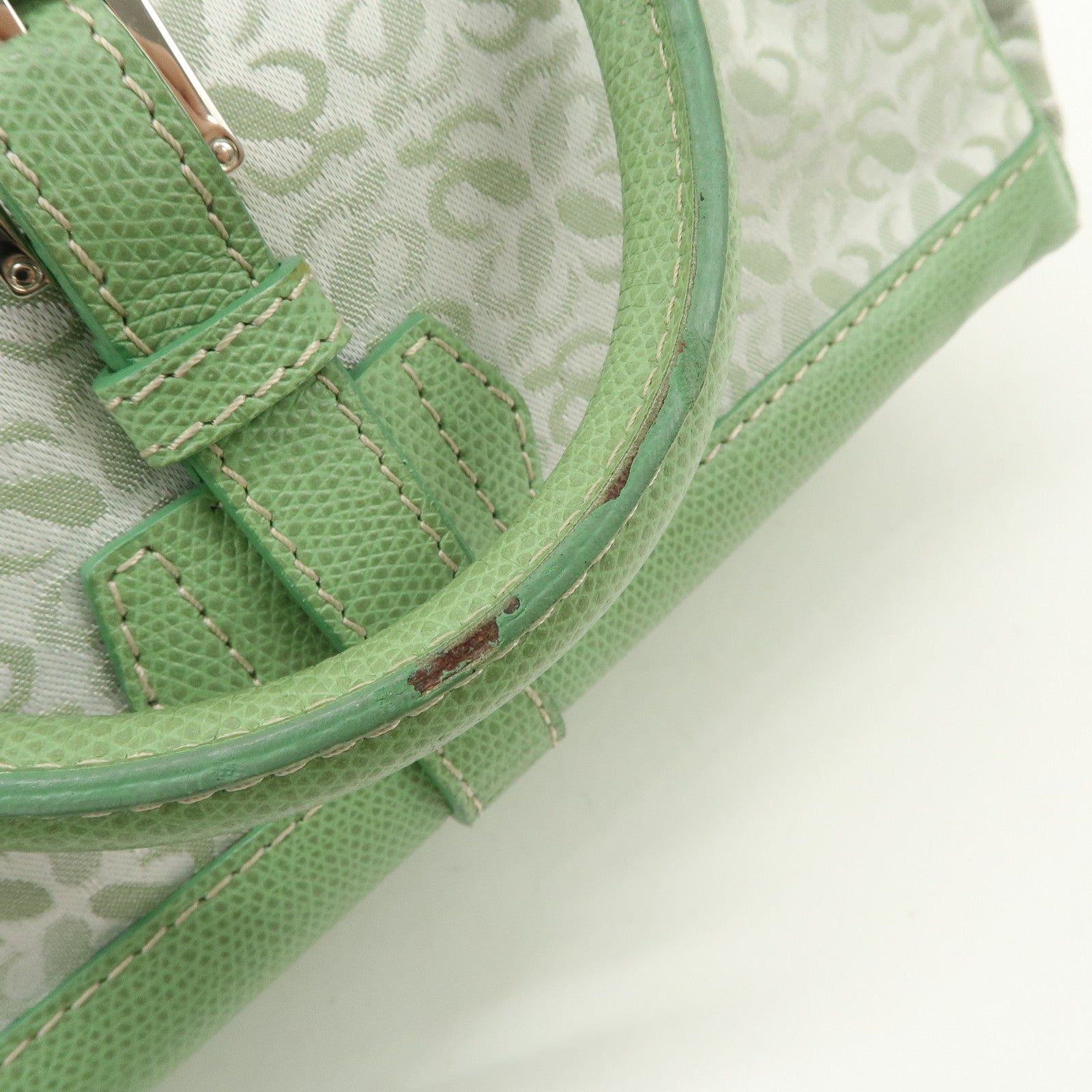 LOEWE Anagram Canvas Leather Hand Bag Light Green