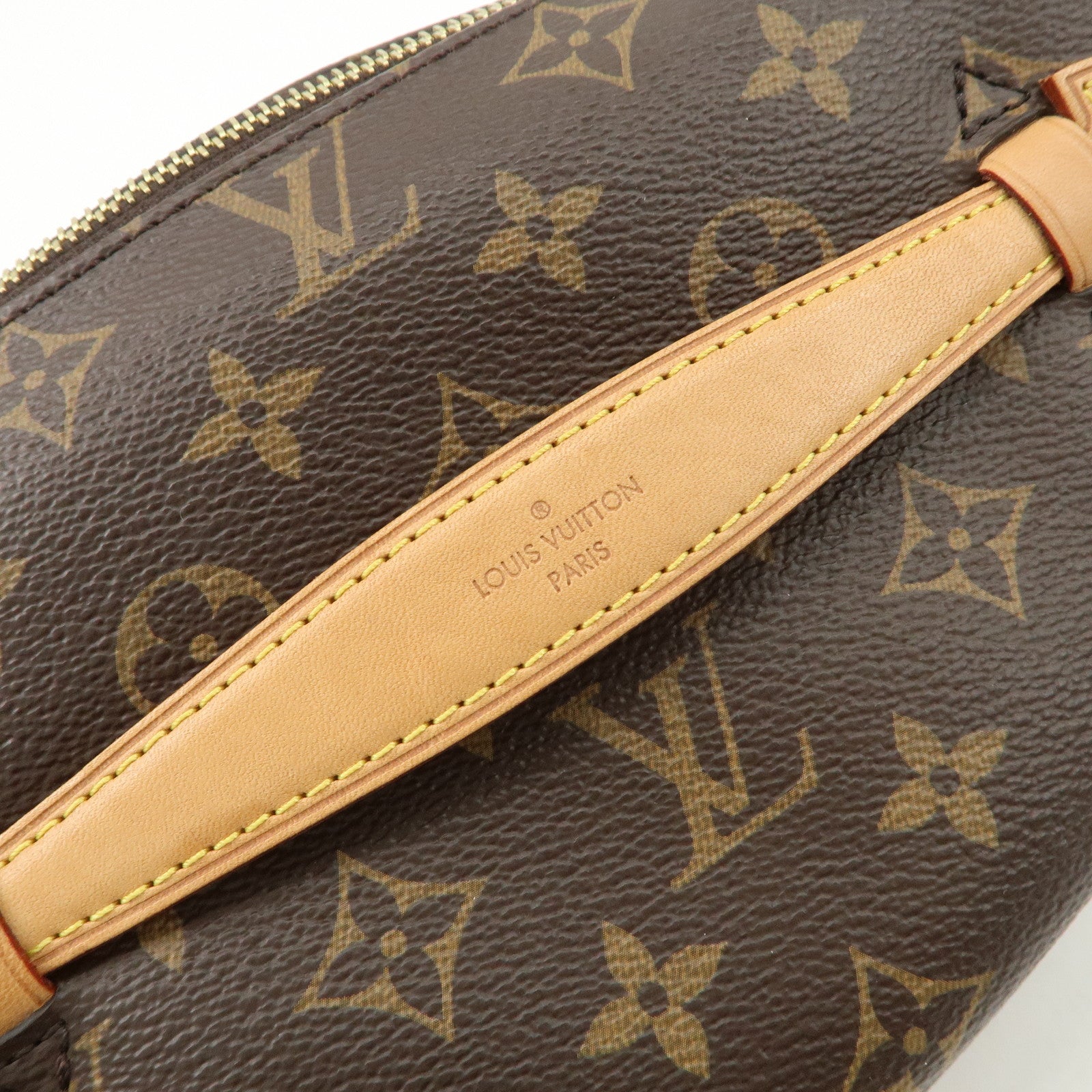 Louis Vuitton Monogram Bumbag Crossbody Bag Brown M43644 Used
