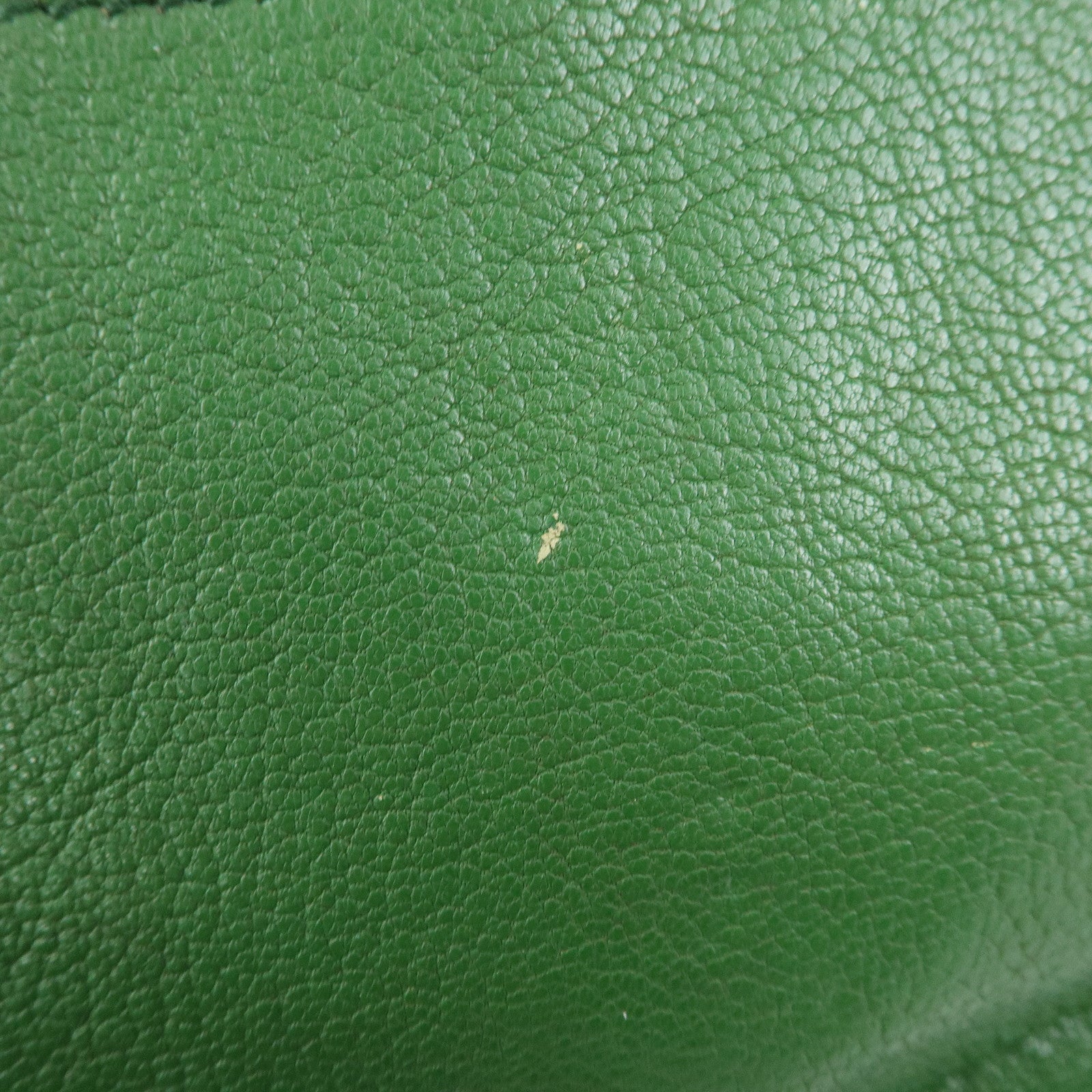 MIU MIU Madras Leather 2Way Bag Hand Bag Shoulder Bag Green