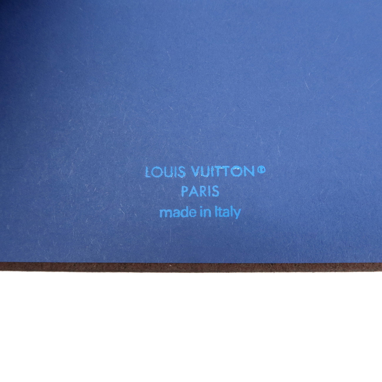 Louis Vuitton Monogram Monogram Canvas Monogram GI0767