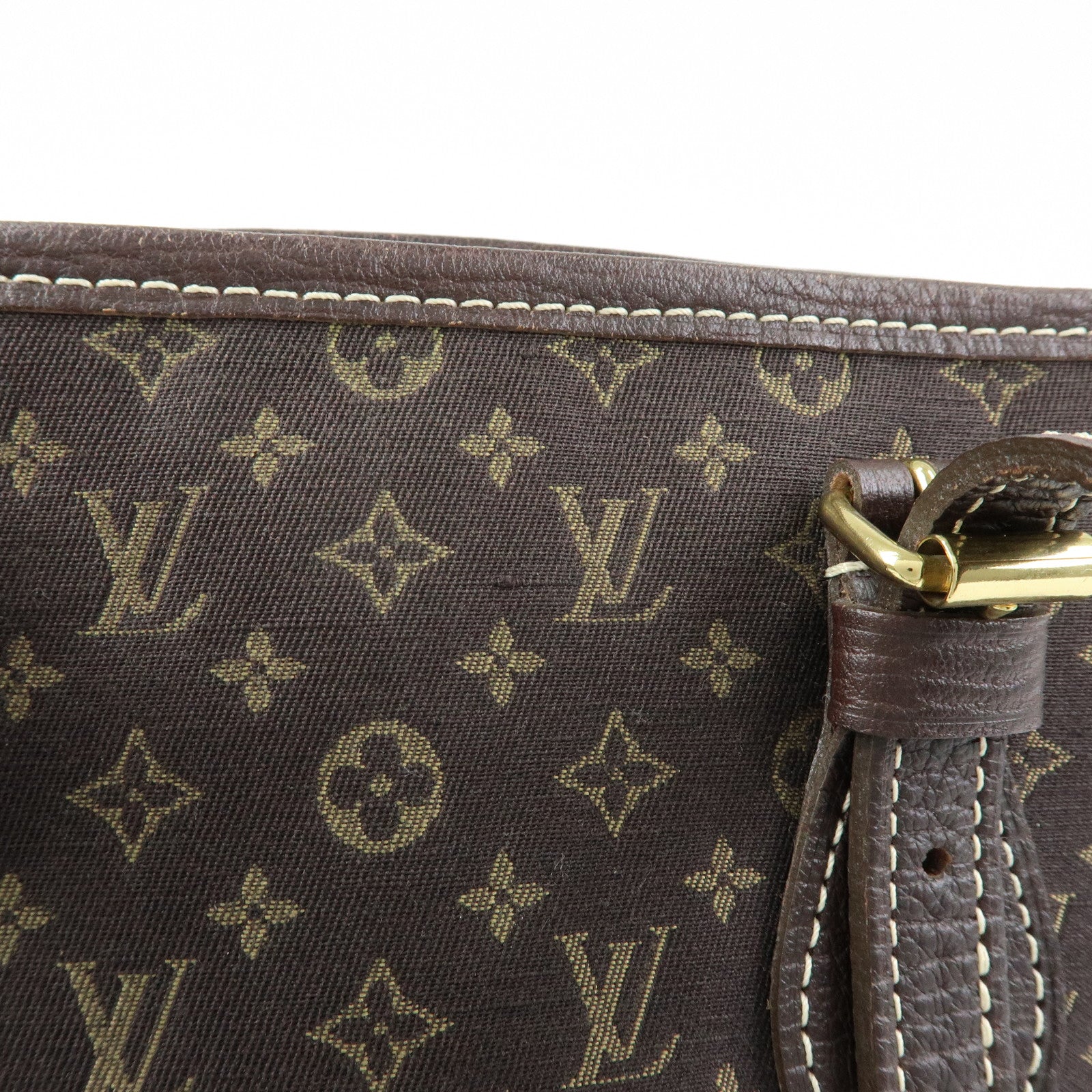 Louis Vuitton Monogram Mini Lin Bucket PM Tote Bag Ebene M95226