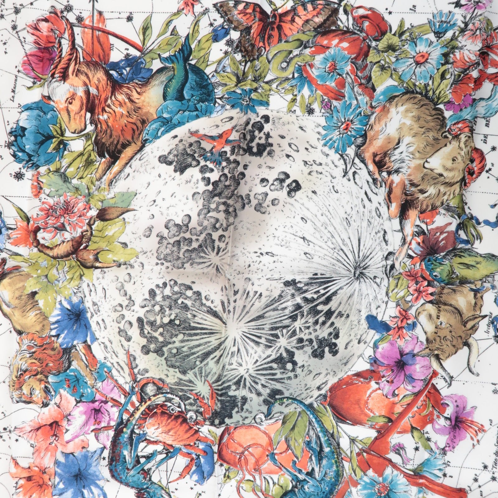 Christian Dior Silk 100% Zodiac 90 Star Constellation Floral Scarf