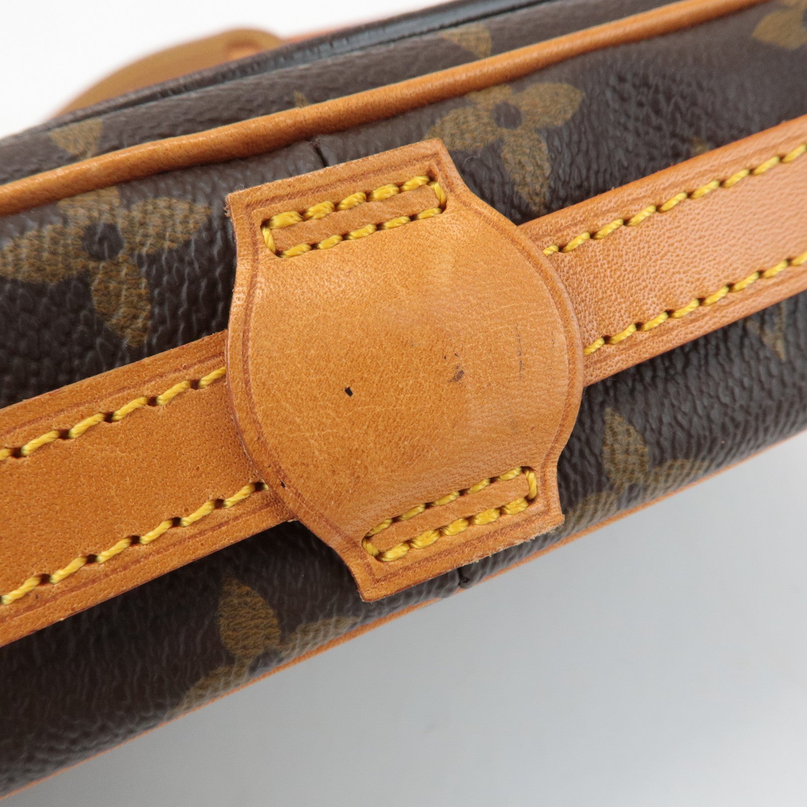 Louis Vuitton Monogram Canvas Saint Germain 24 Shoulder Bag M51210