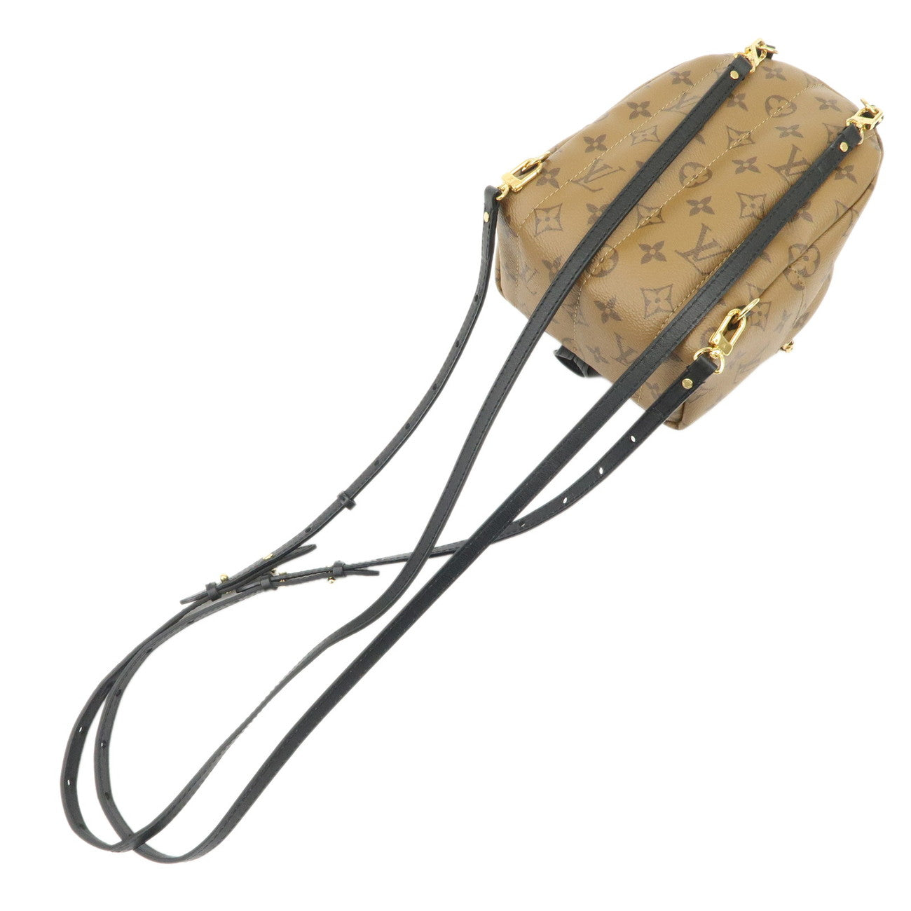 Louis Vuitton Monogram Reverse Palm Springs Mini Backpack M44872