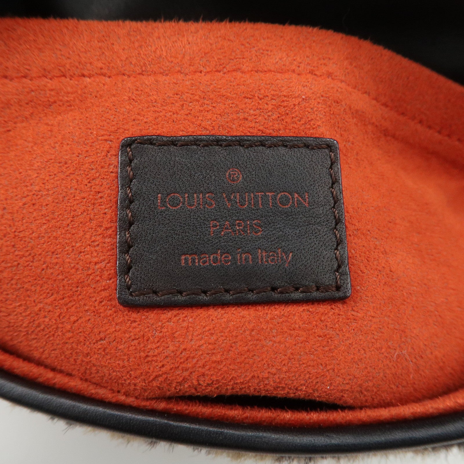 Louis Vuitton Damier Sauvage Lion Hand Bag Beige Brown M92131 Used