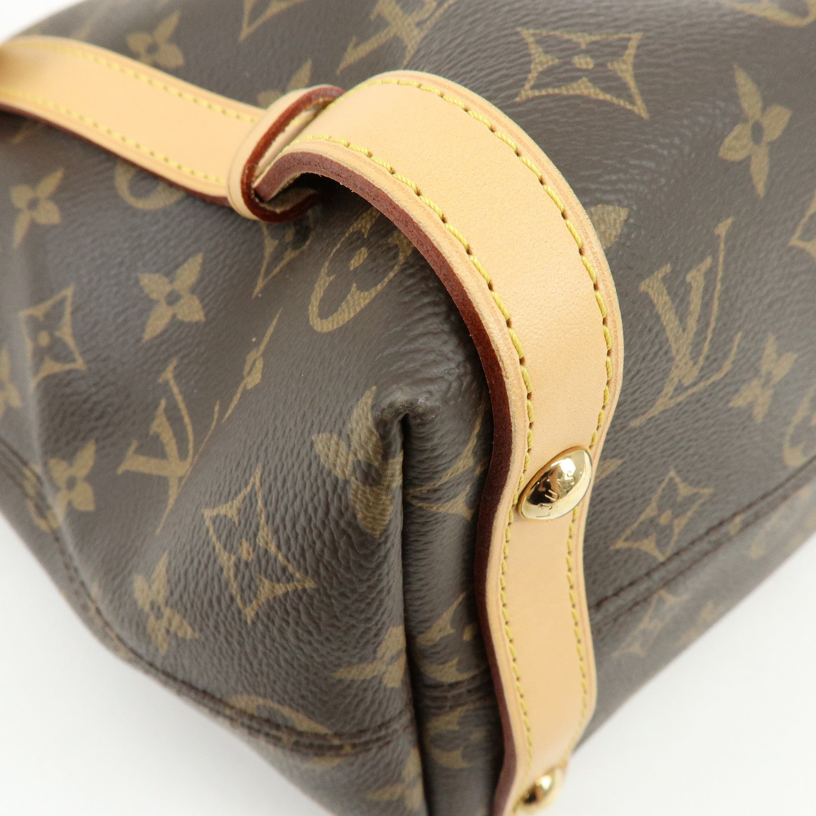 Louis Vuitton Monogram Canvas Tuileries Tote Bag Brown M41207
