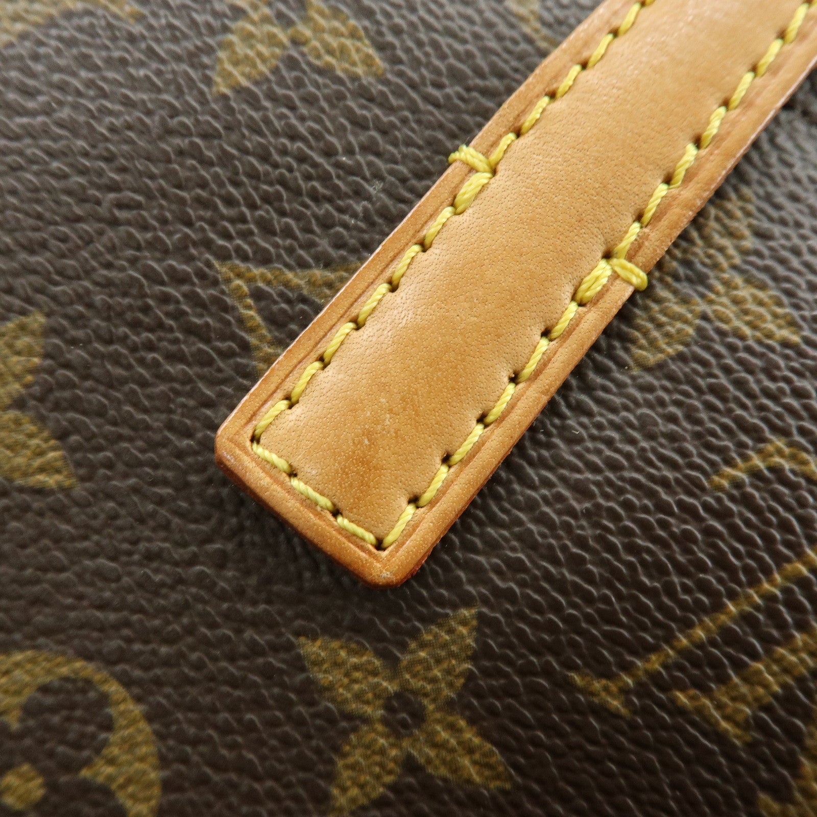 Louis Vuitton Monogram Canvas Sonatine Hand Bag Brown M51902