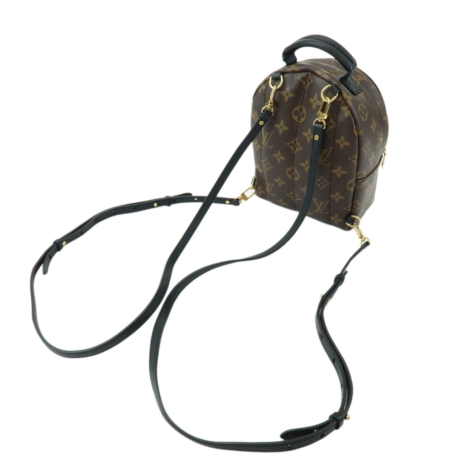 Louis Vuitton Monogram Palm Springs MINI Backpack M44873