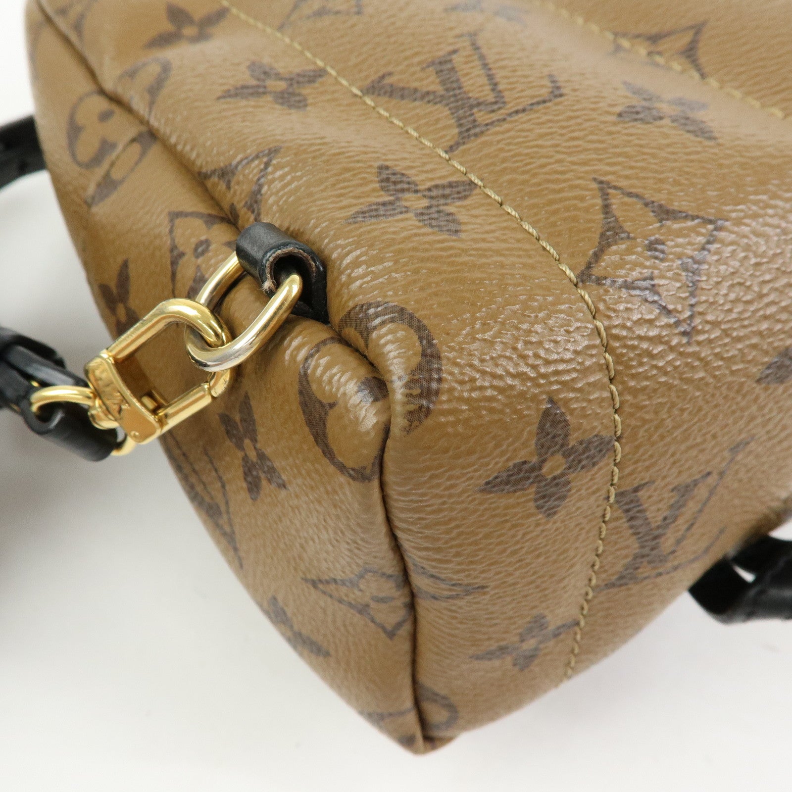Louis Vuitton Monogram Reverse Palm Springs Backpack Mini M42411