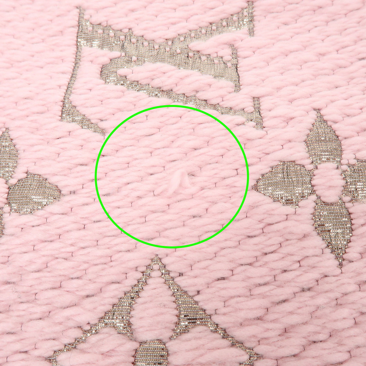 Louis Vuitton Echarpe Logomania Shine Wool Silk polyester Scarf M60466