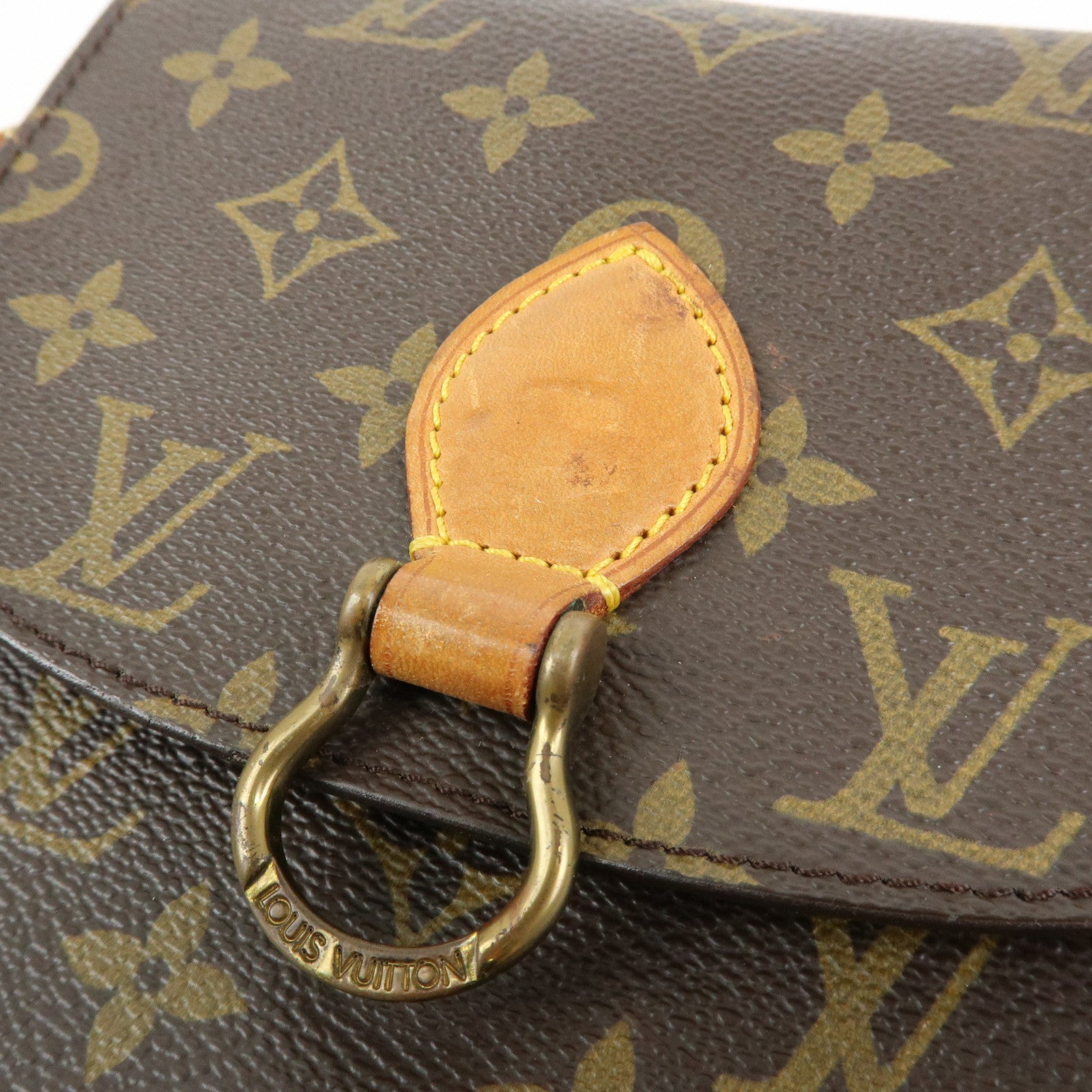 Louis Vuitton Monogram Mini Saint Cloud PM Shoulder Bag M51244
