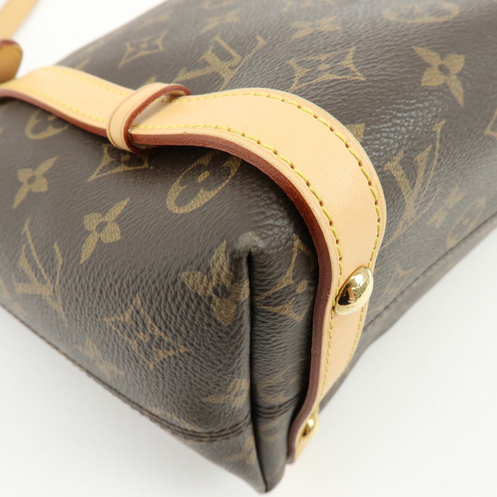 Louis Vuitton Monogram Canvas Tuileries Tote Bag Brown M41207