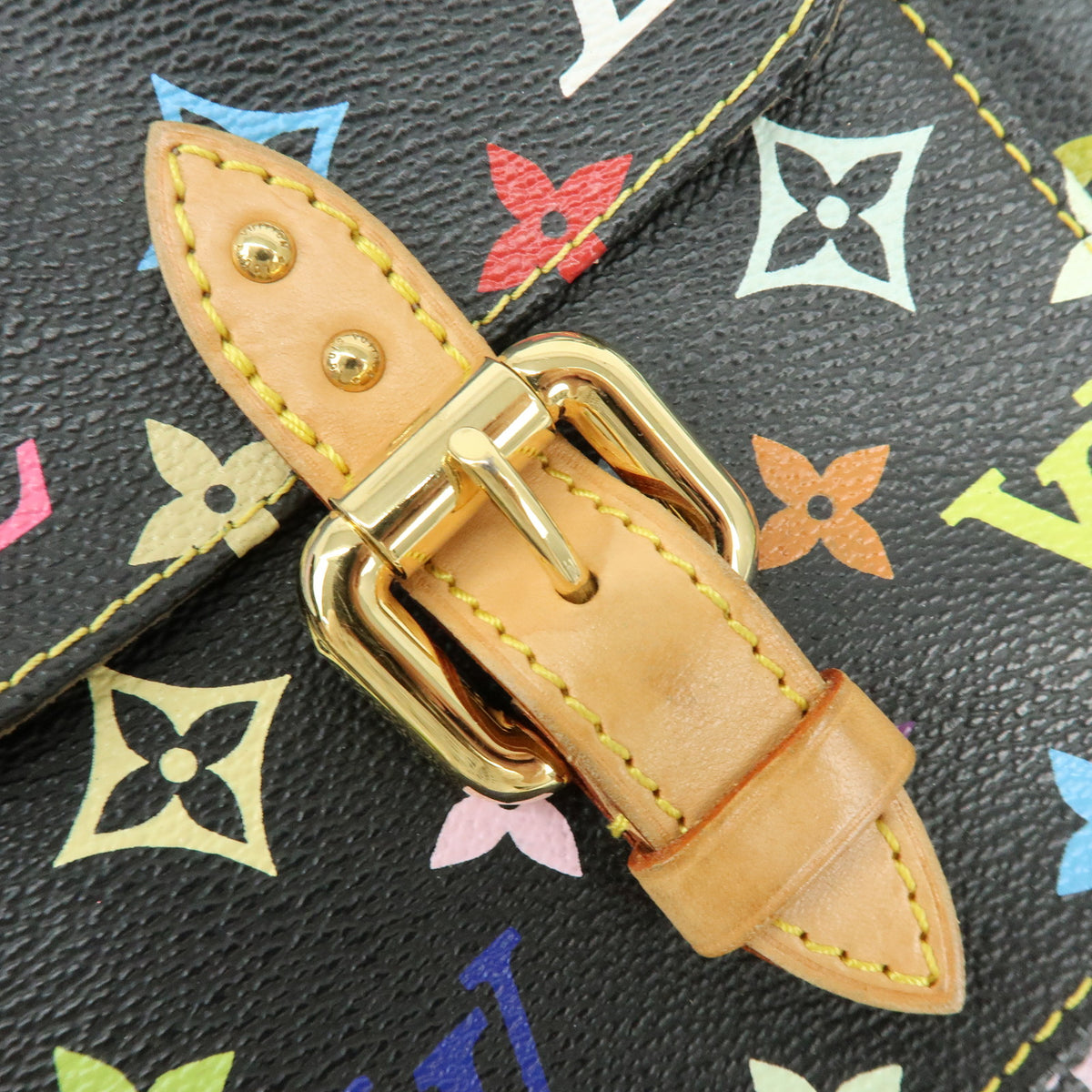 Louis Vuitton Monogram Multicolor Lodge GM Shoulder Bag M40052