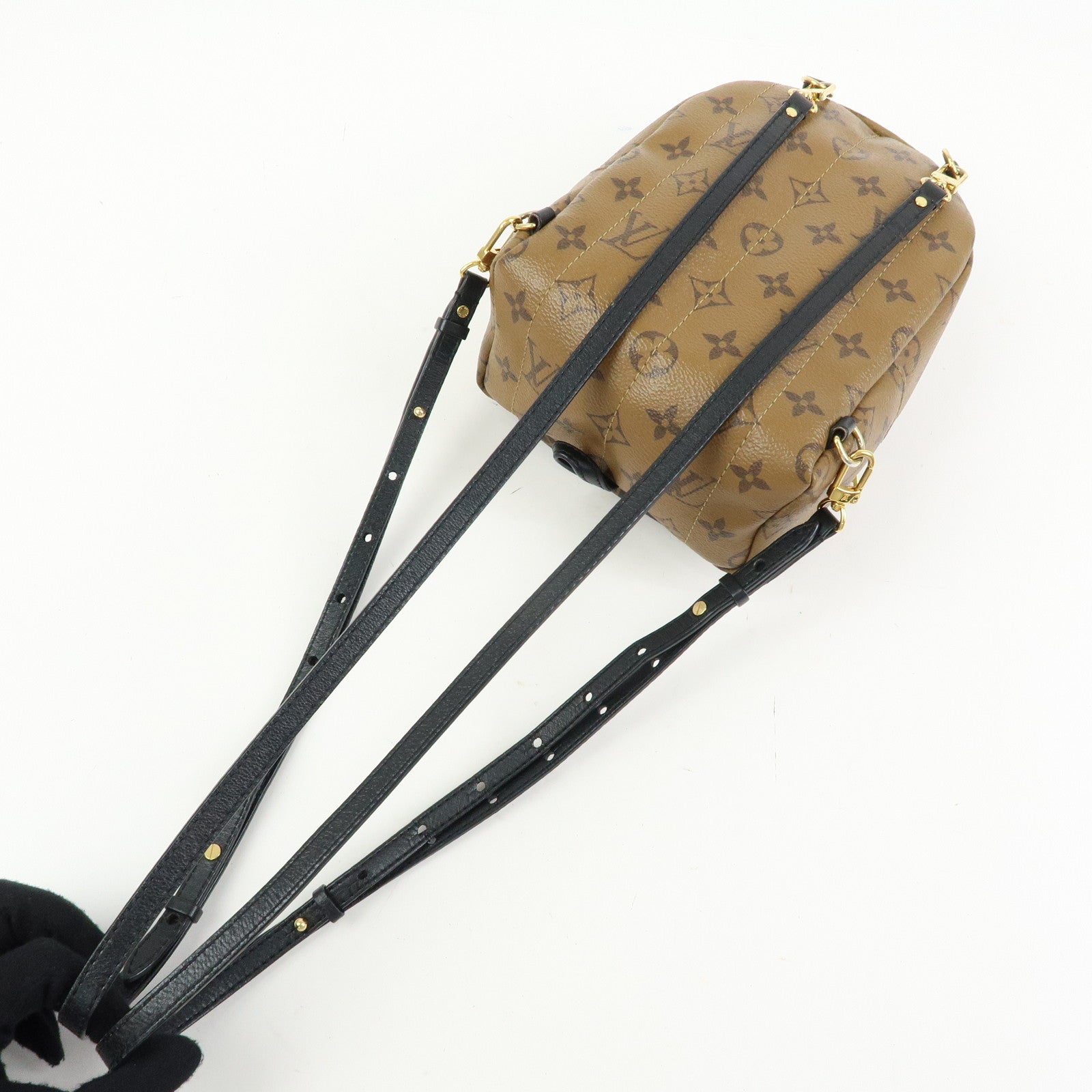 Louis Vuitton Monogram Reverse Palm Springs Backpack Mini M42411