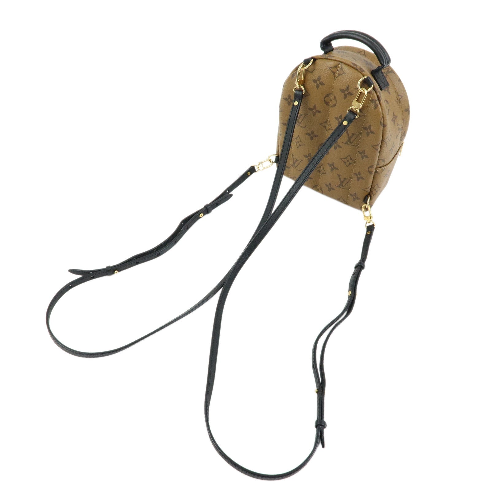 Louis Vuitton Monogram Reverse Palm Springs Backpack Mini M42411