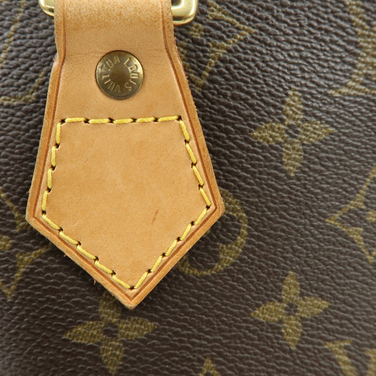 Louis Vuitton Monogram Alma PM Hand Bag Brown M51130