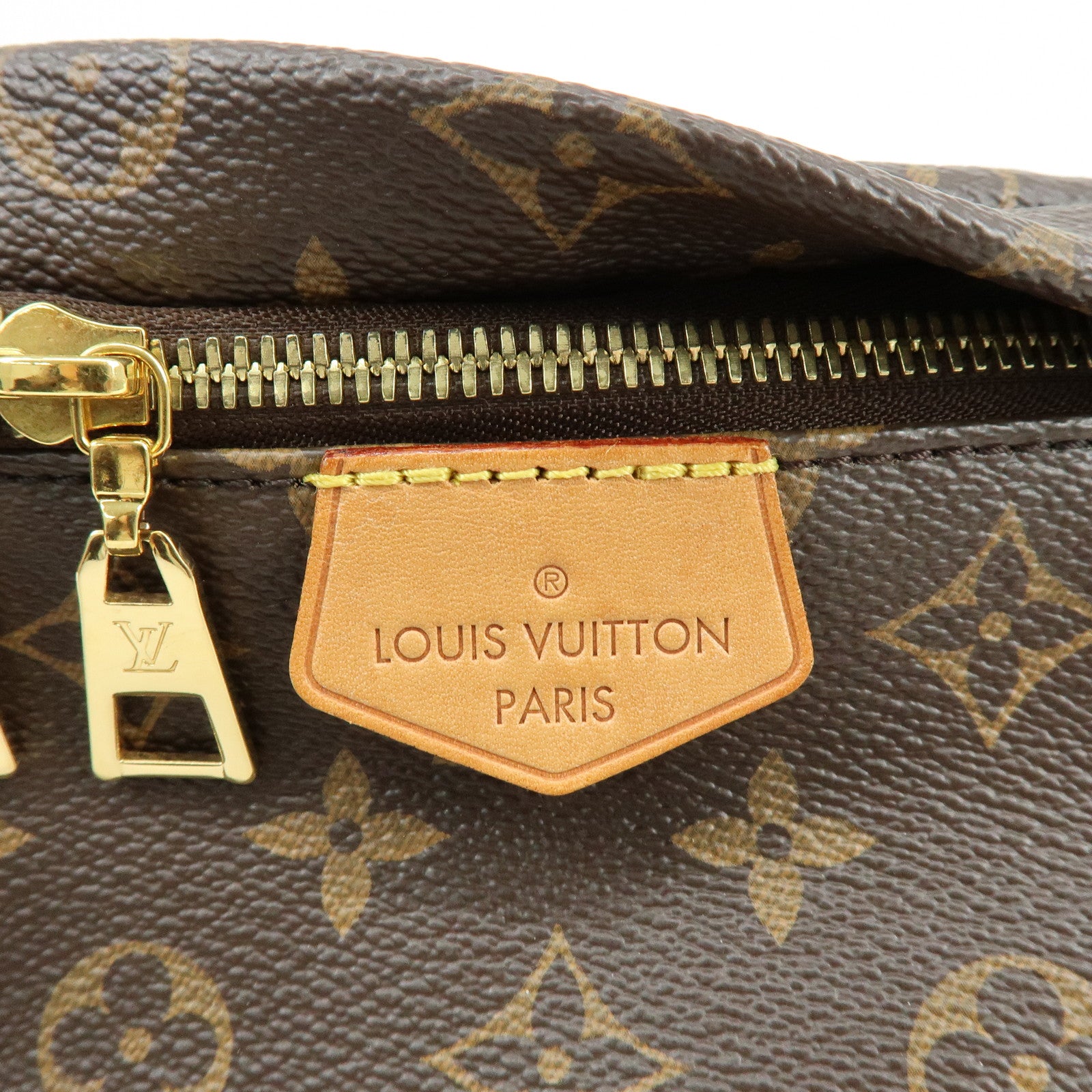 Louis Vuitton Monogram Bum Bag Crossbody Shoulder Bag Brown M43644