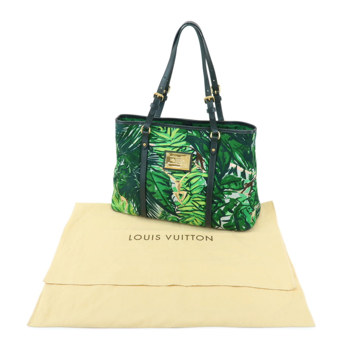 Louis Vuitton Ailleurs Cabas PM Canvas Shoulder Bag Aventure M93770
