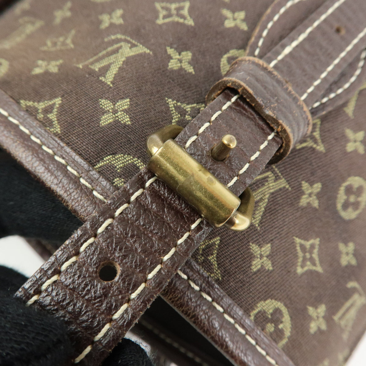 Louis Vuitton Monogram Mini Lin Bucket PM Canvas Tote Bag Ebene M95226