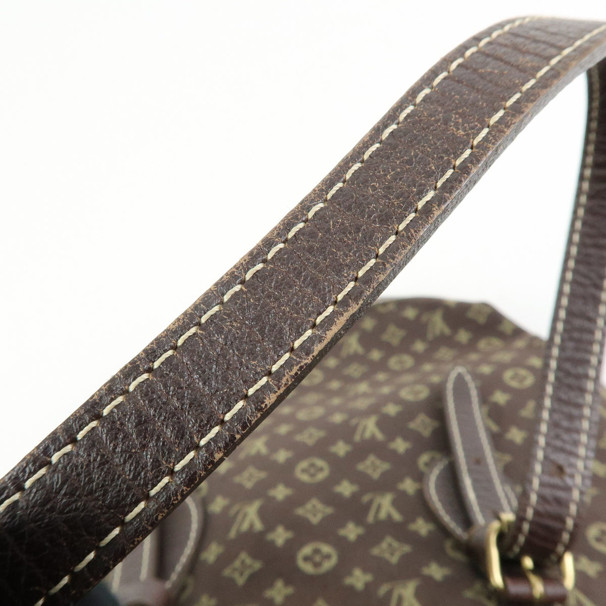 Louis Vuitton Monogram Mini Lin Bucket PM Canvas Tote Bag Ebene M95226