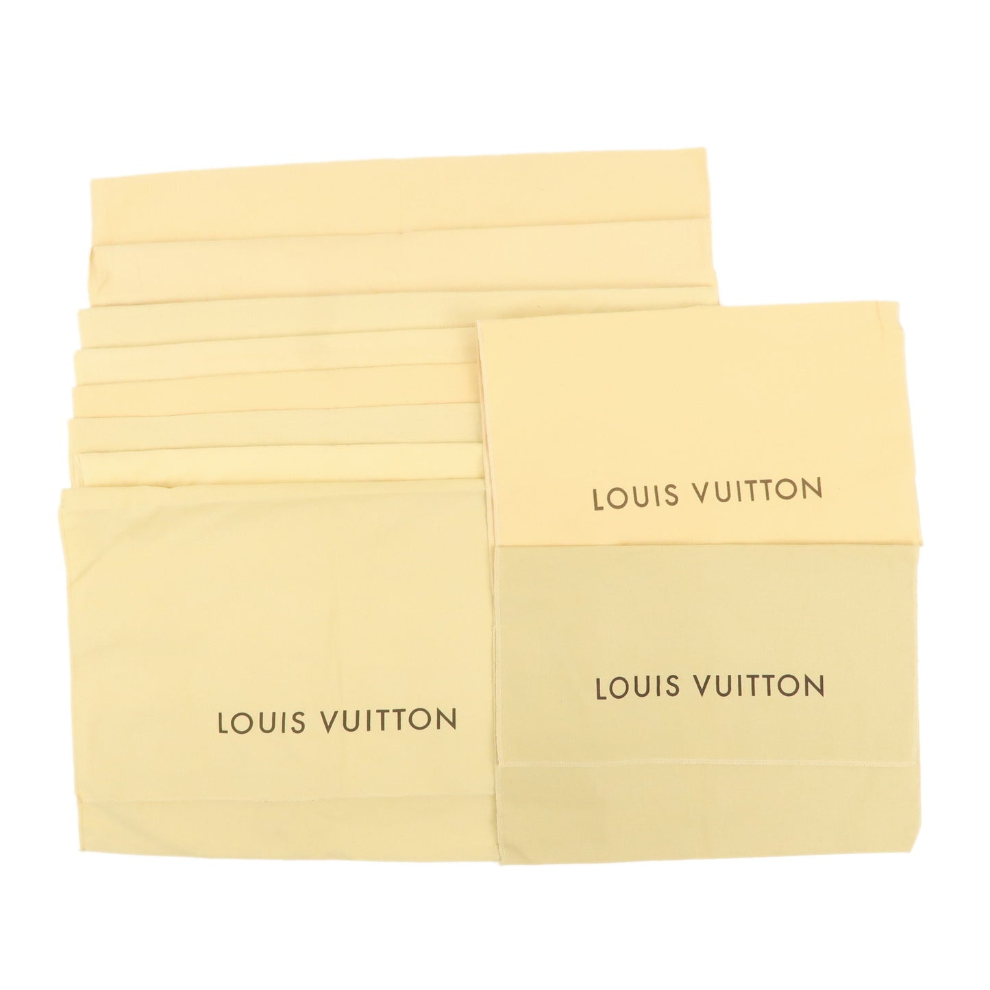 Louis-Vuitton-Storage-Bag-Set-of-10-①