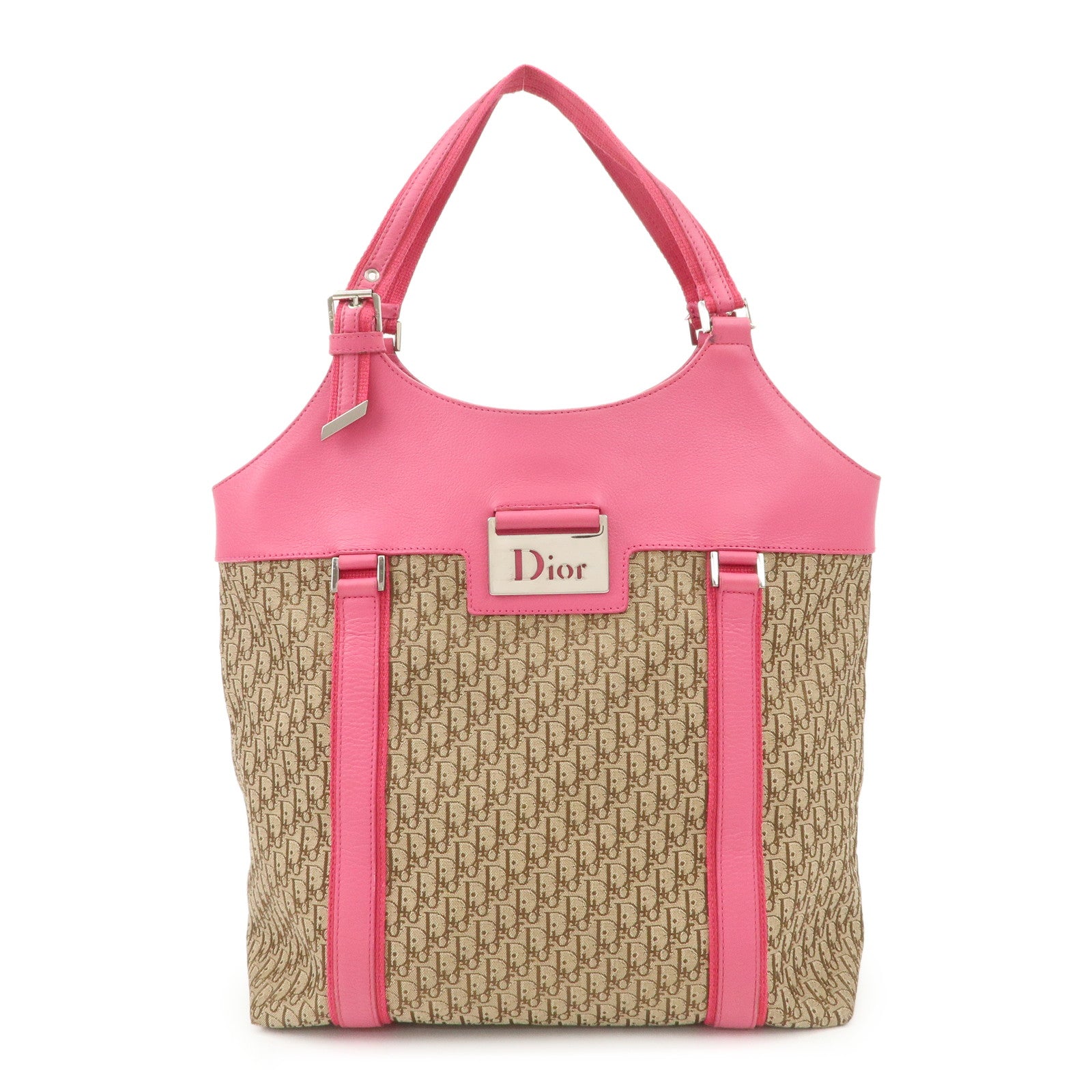 Christian-Dior-Street-Chic-Trotter-Canvas-Leather-Tote-Bag