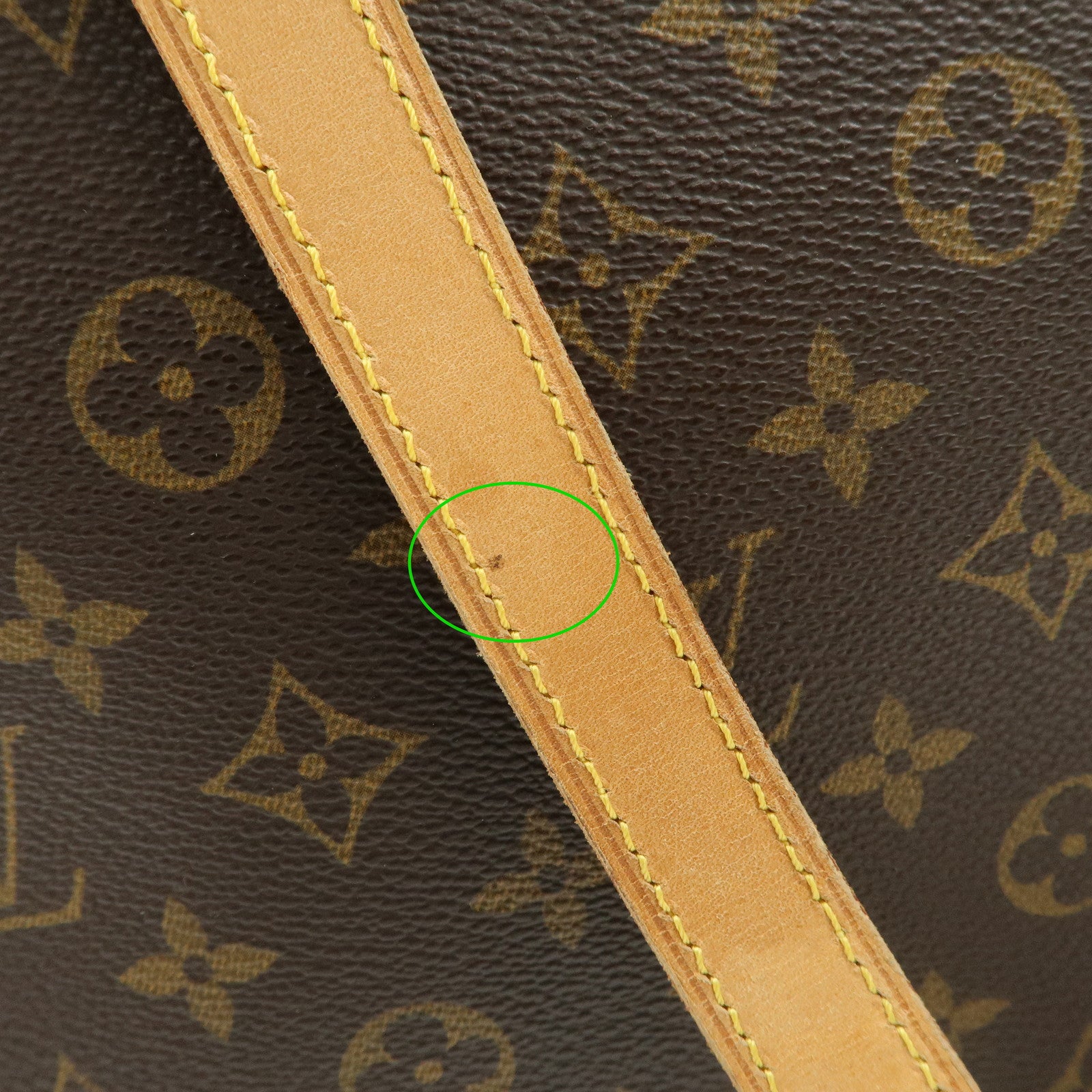 Louis Vuitton Monogram Luco Tote Bag Hand Bag Brown M51155