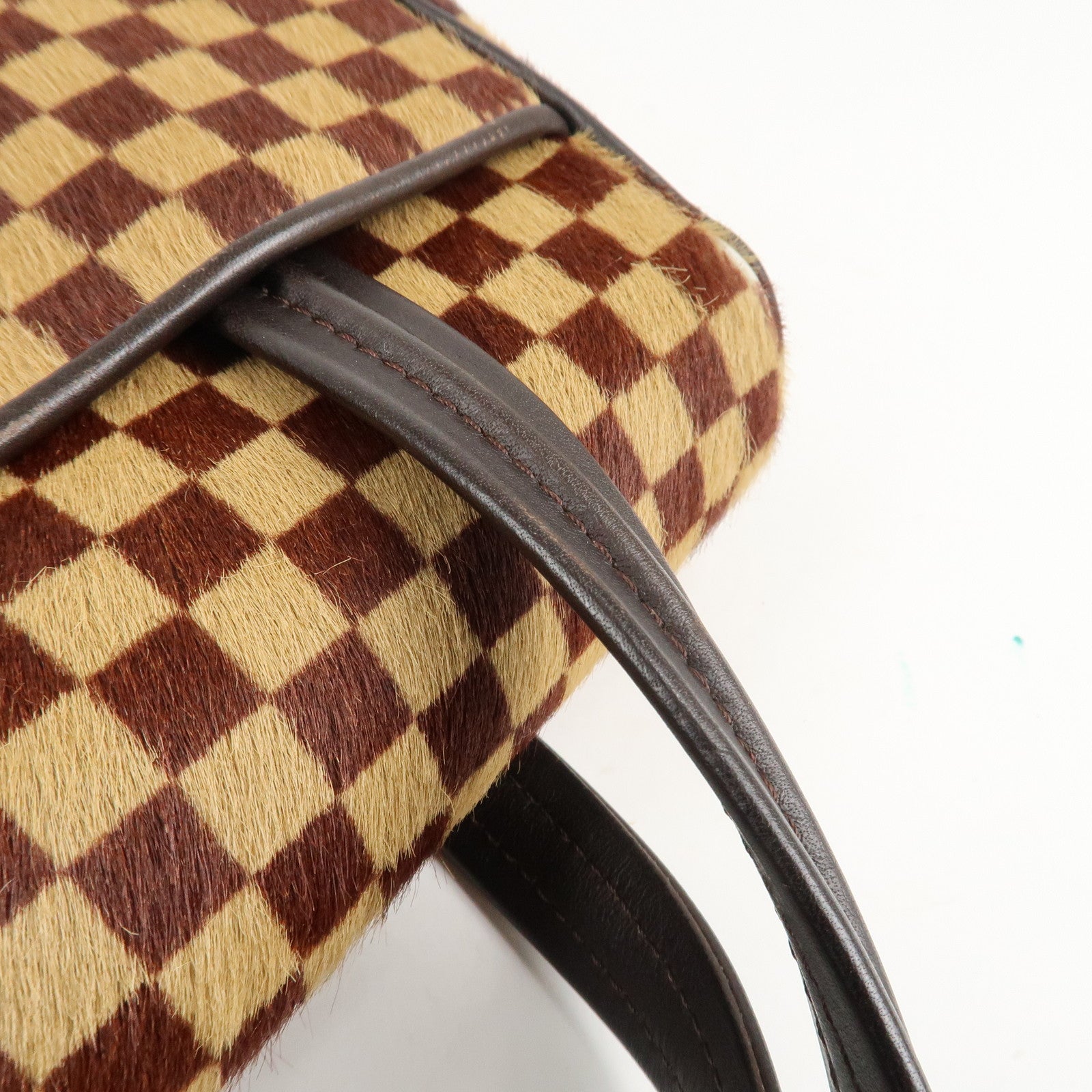 Louis Vuitton Damier Sauvage Lion Hand Bag Beige Brown M92131