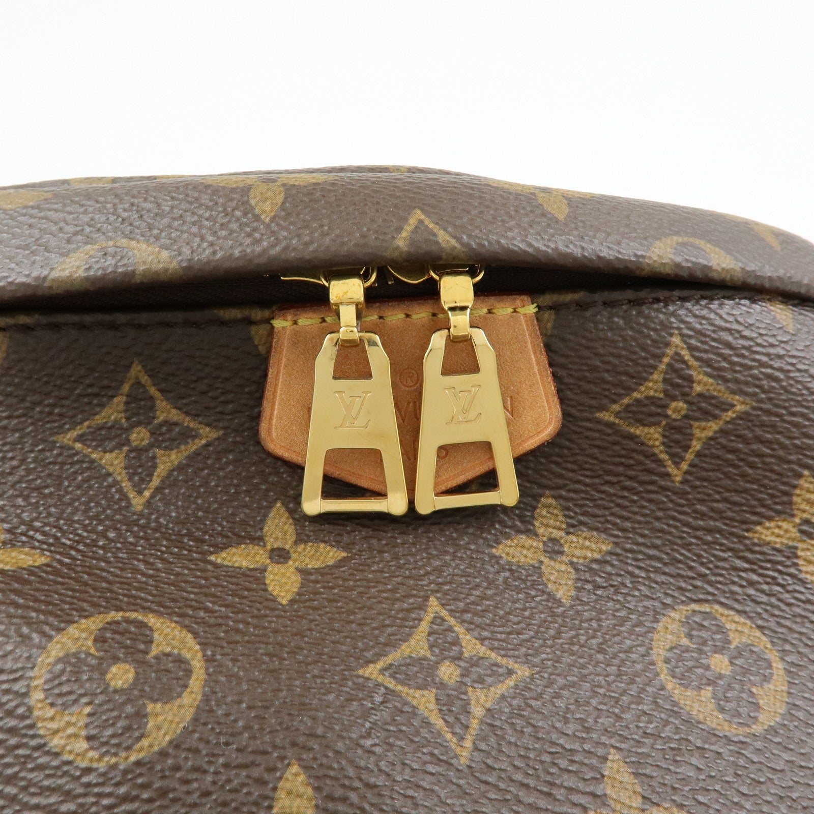 Louis Vuitton Monogram Bumbag Crossbody Shoulder Bag Brown M43644