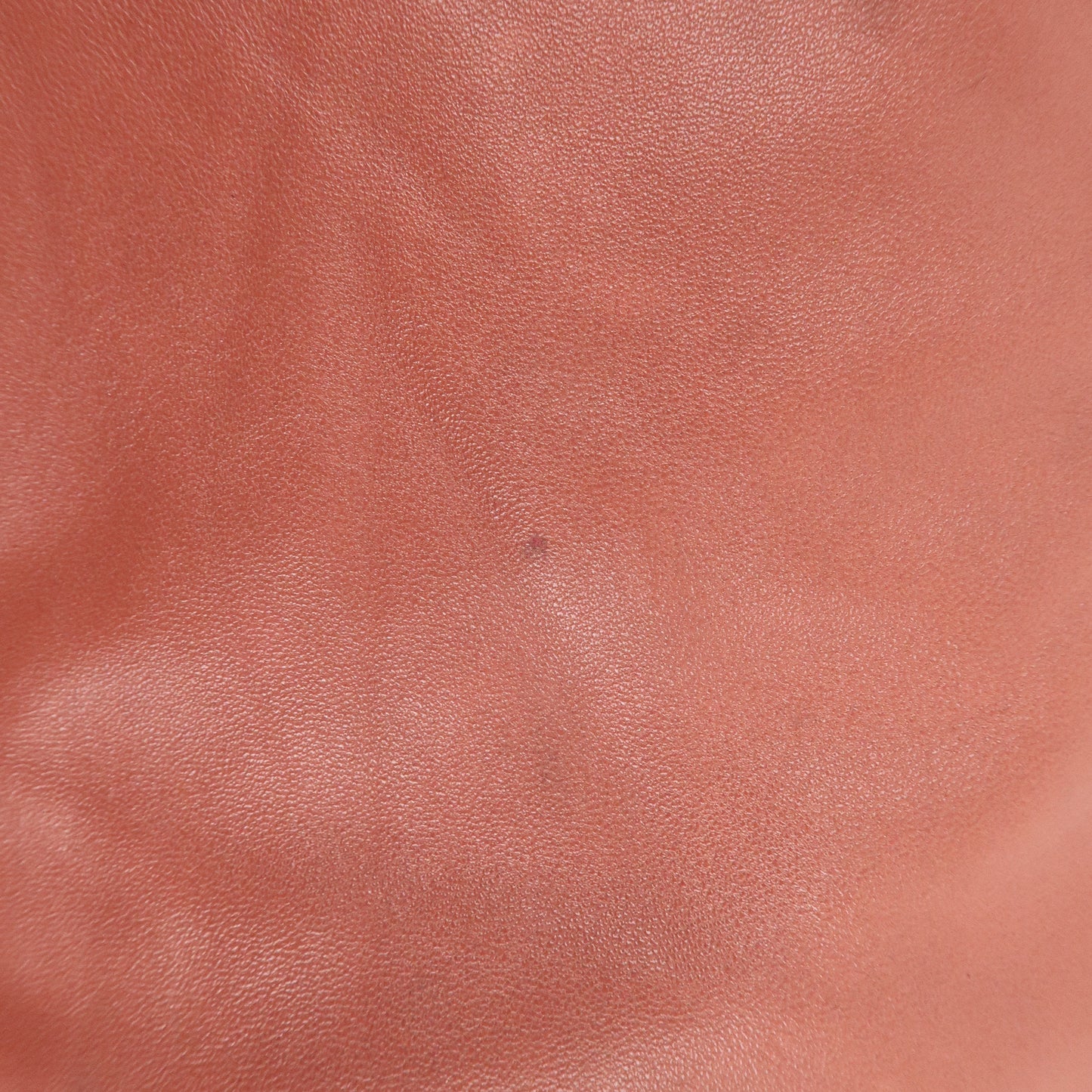 LOEWE Leather Nappa Aire Hand Bag Shoulder Bag Pink