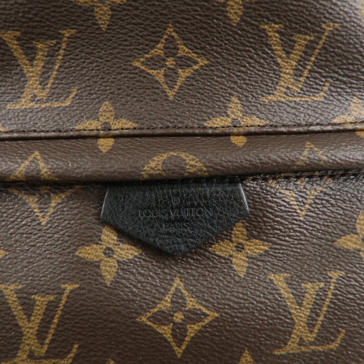 Louis Vuitton Monogram Palm Springs Back Pack PM Brown M44871