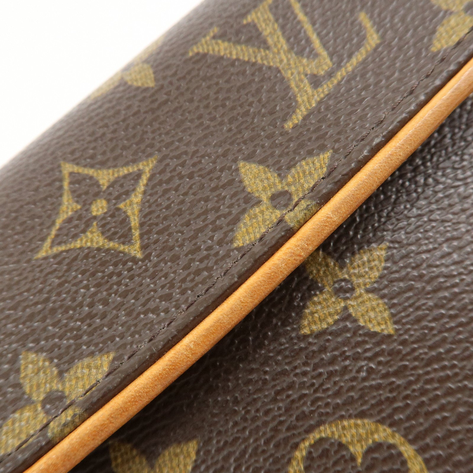 Louis Vuitton Monogram Pochette Florentine Waist Bag BeltXS M51855