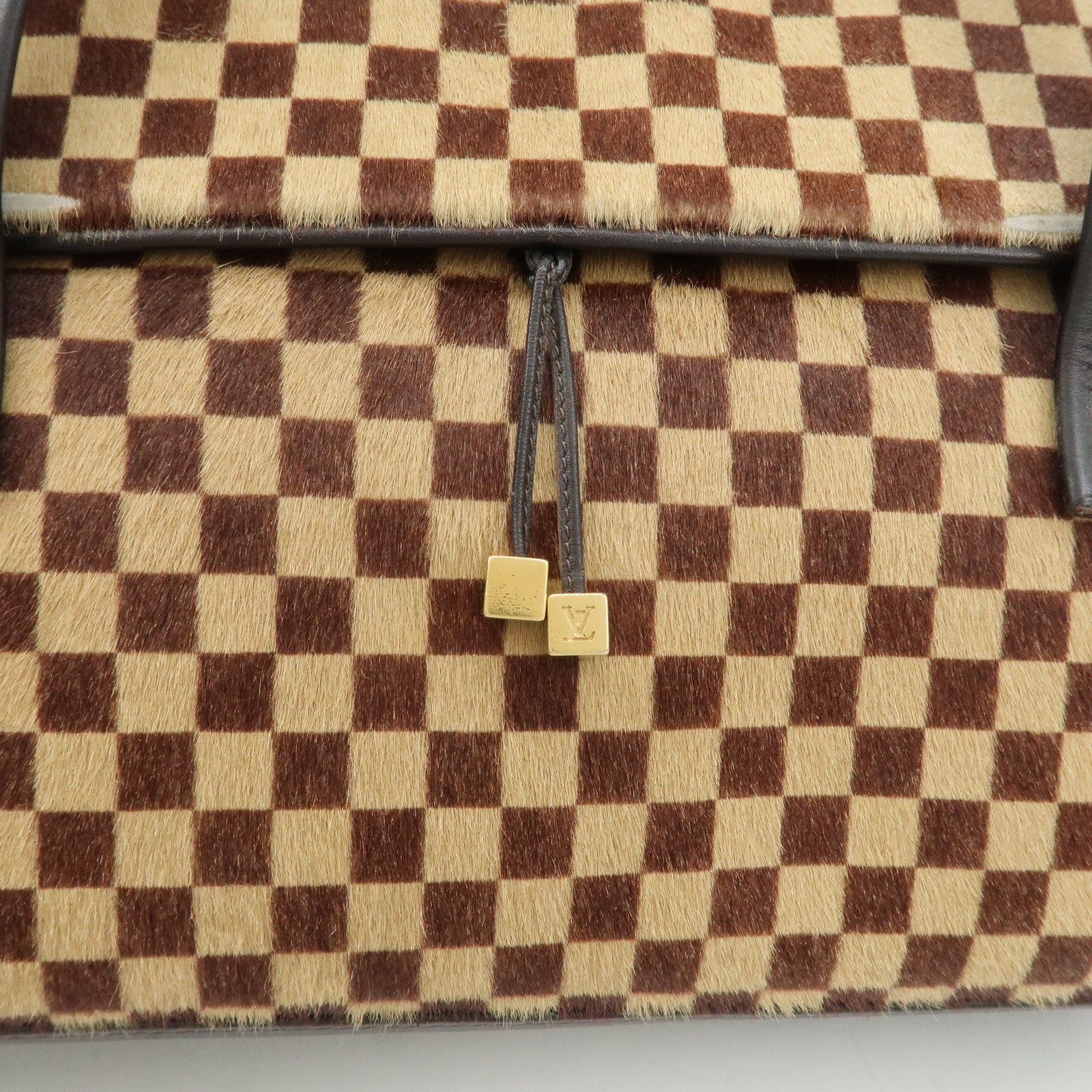 Louis Vuitton Damier Sauvage Lion Hand Bag Beige Brown M92131