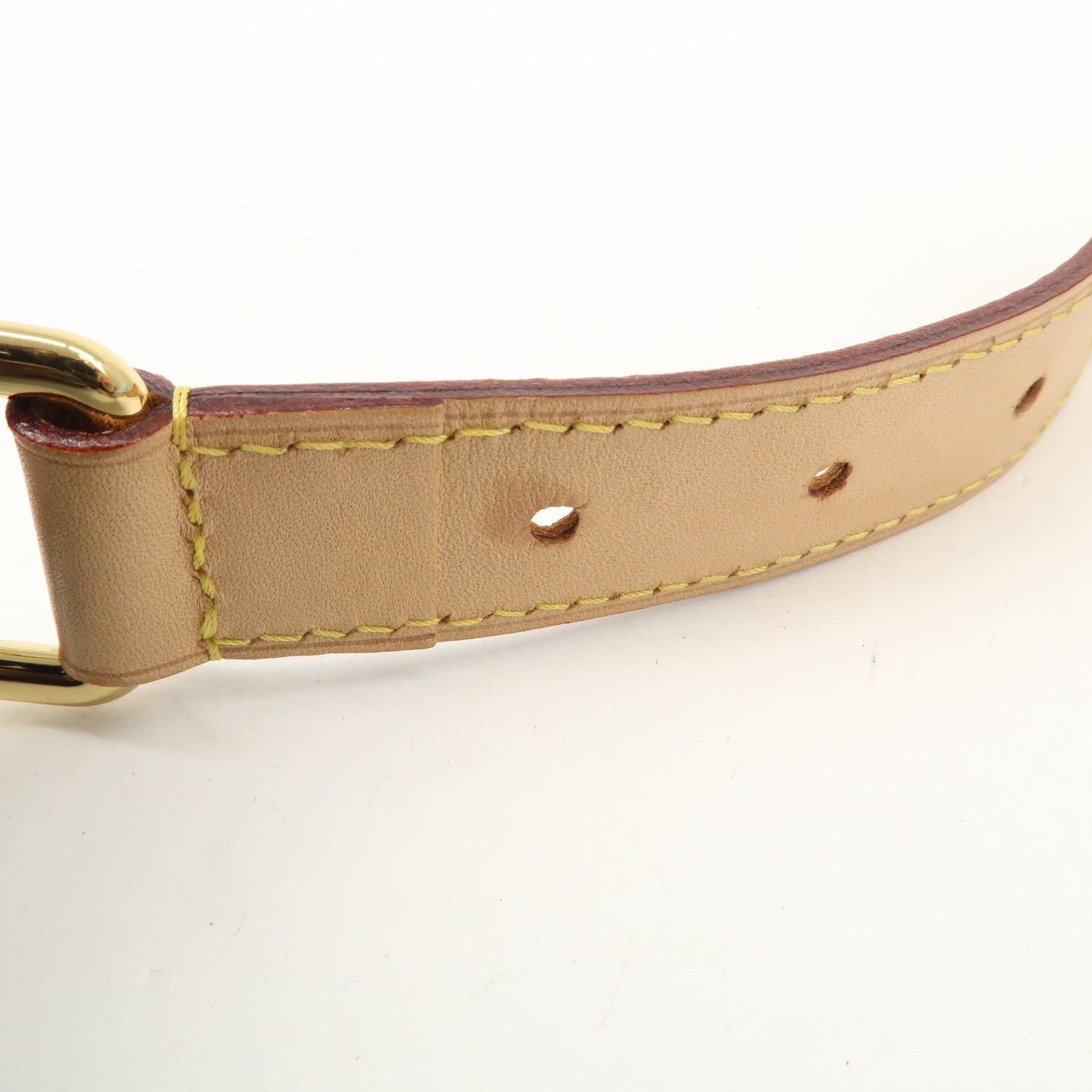 Louis Vuitton Monogram Bumbag Crossbody Bag Brown M43644 Used