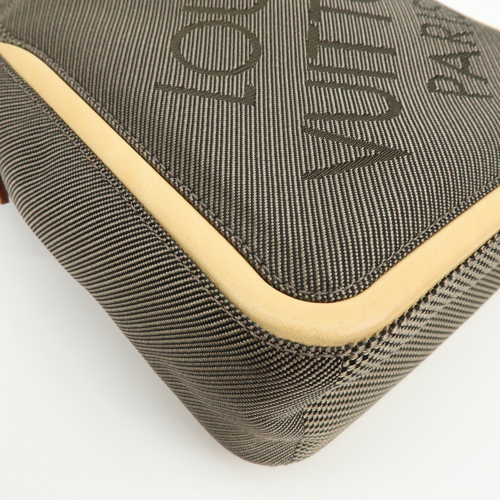 Louis Vuitton Damier Geant Citadin Shoulder Bag Terre M93040