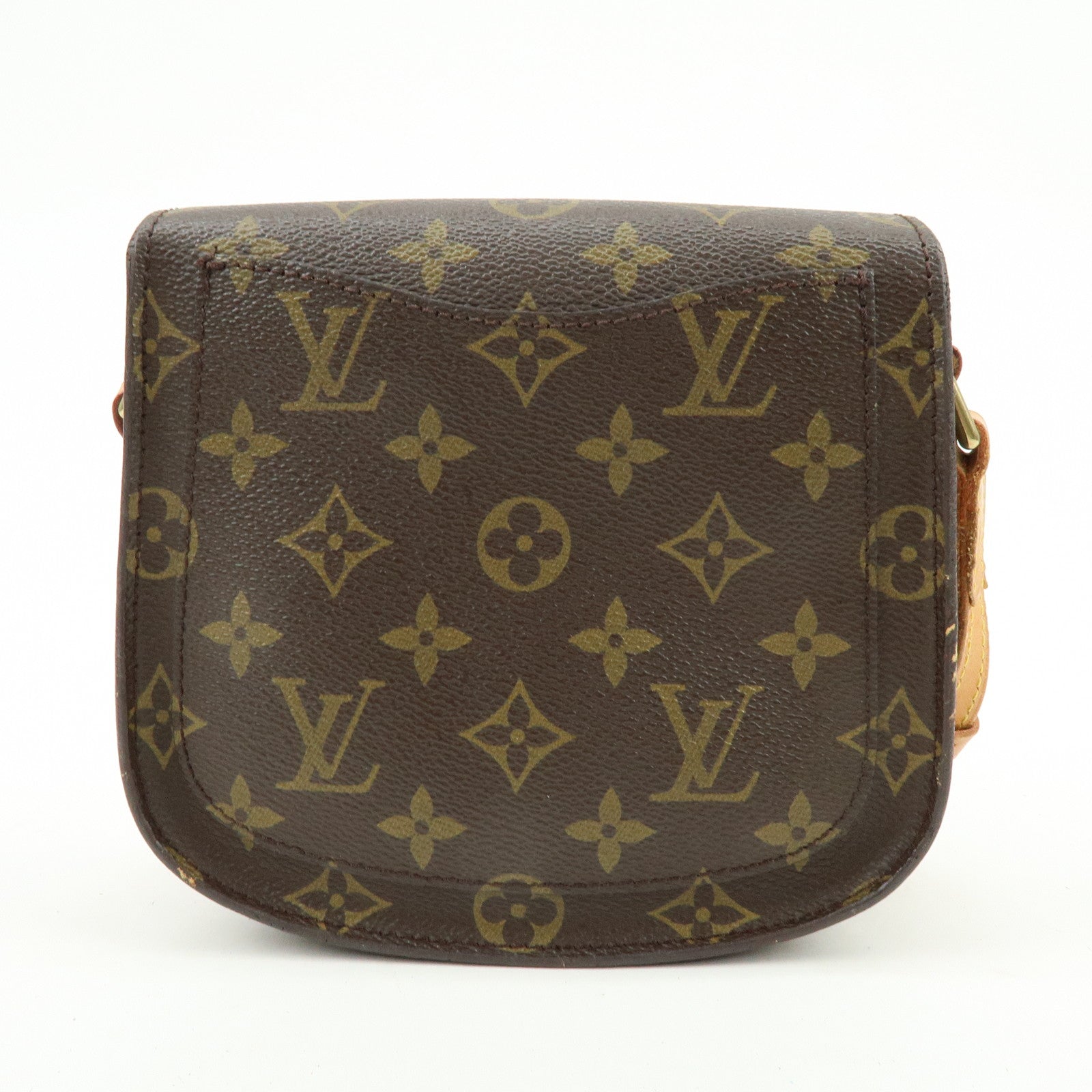 Louis Vuitton Monogram Mini Saint Cloud PM Shoulder Bag M51244