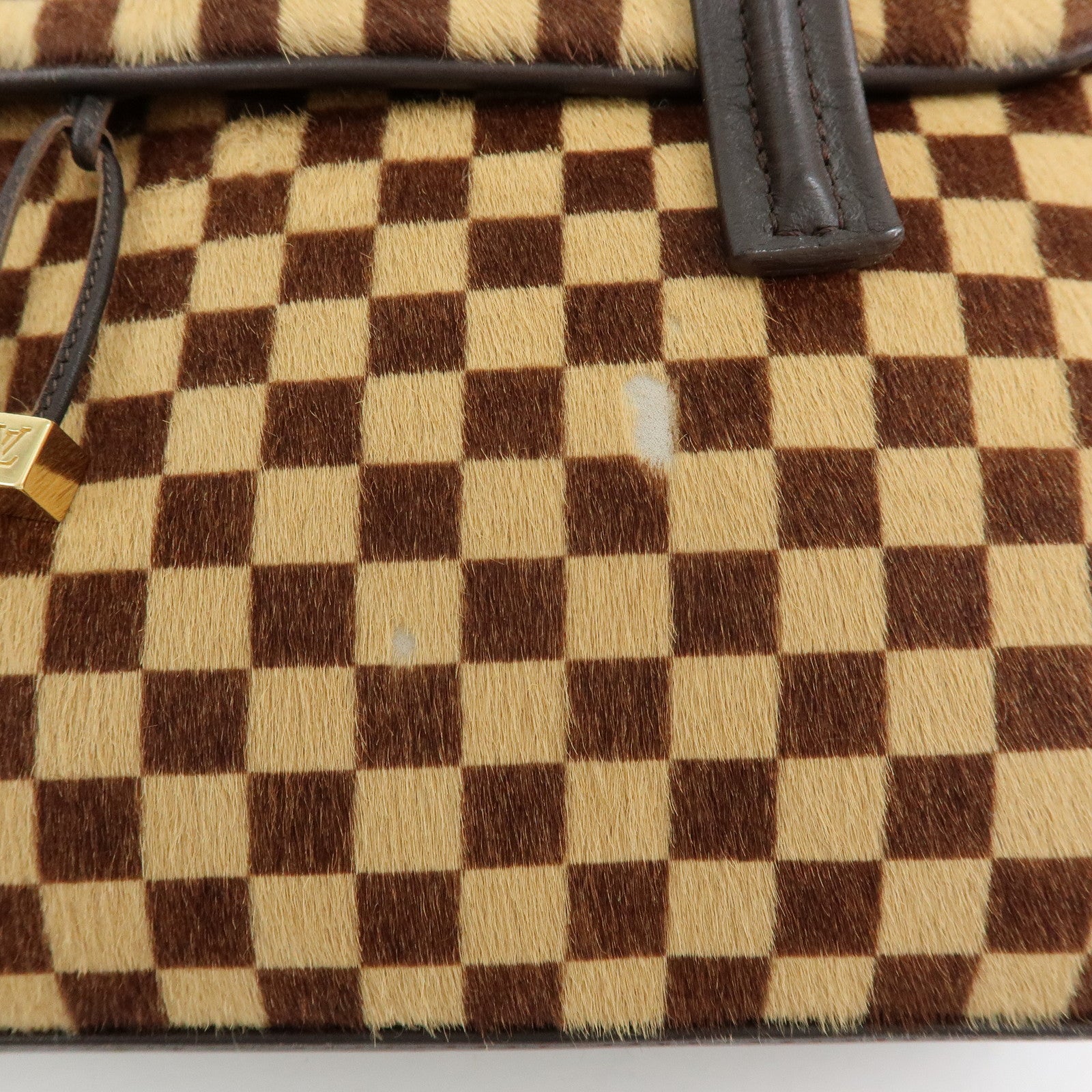 Louis Vuitton Damier Sauvage Lion Hand Bag Beige Brown M92131