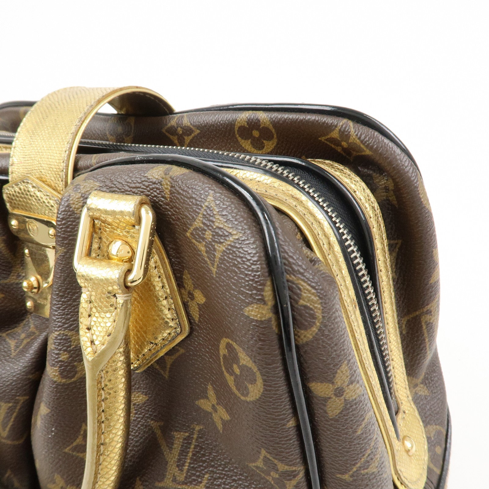 Louis Vuitton Adele Monogram Leopard Calf Leather 2 Way bag M95284
