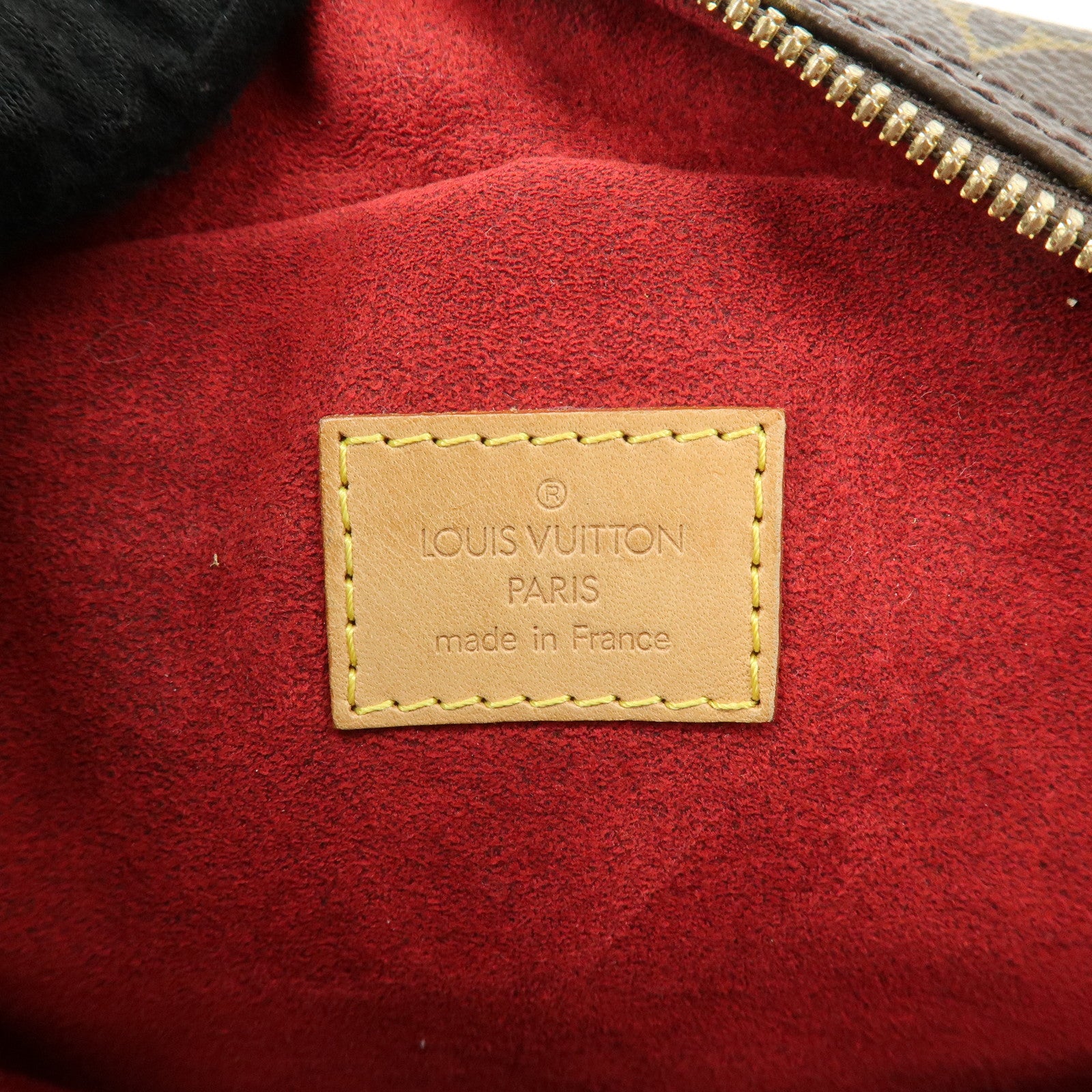 Louis Vuitton Monogram Excentri Cite Canvas Hand Bag Brown M51161