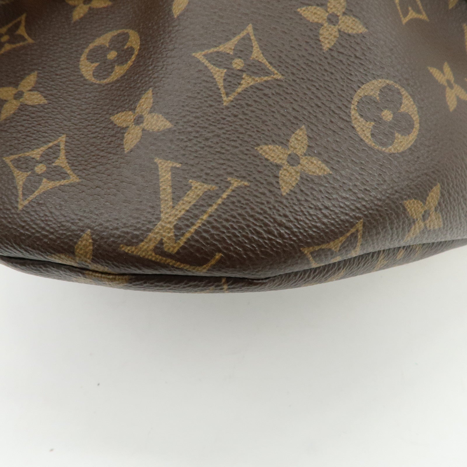 Louis Vuitton Monogram Bumbag Crossbody Shoulder Bag Brown M43644