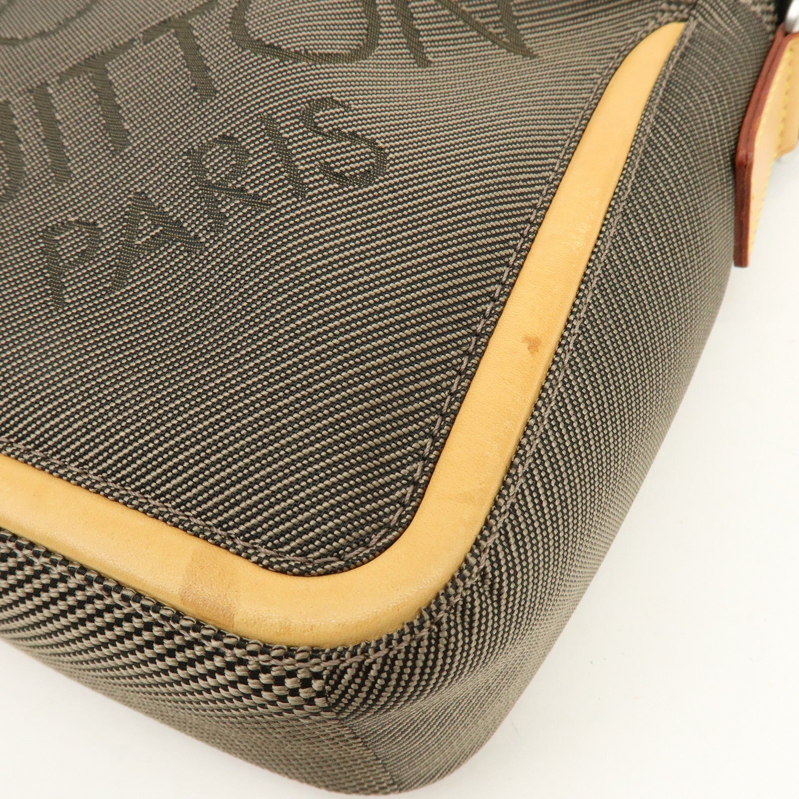 Louis Vuitton Damier Geant Citadin Shoulder Bag Terre M93040