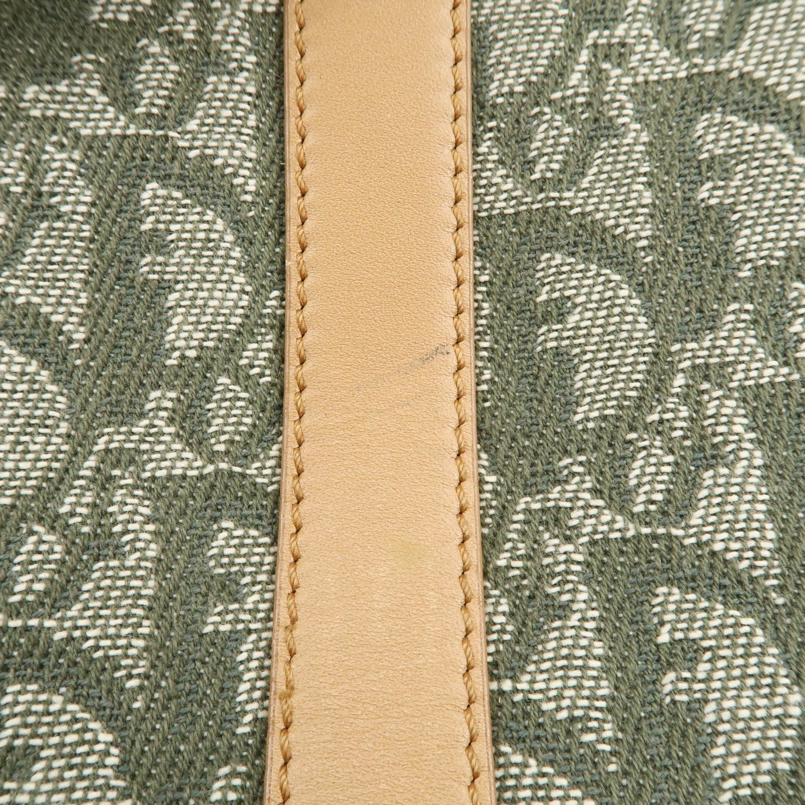 Christian Dior Trotter CH Jacquard Canvas Tote Bag Hand Bag Green